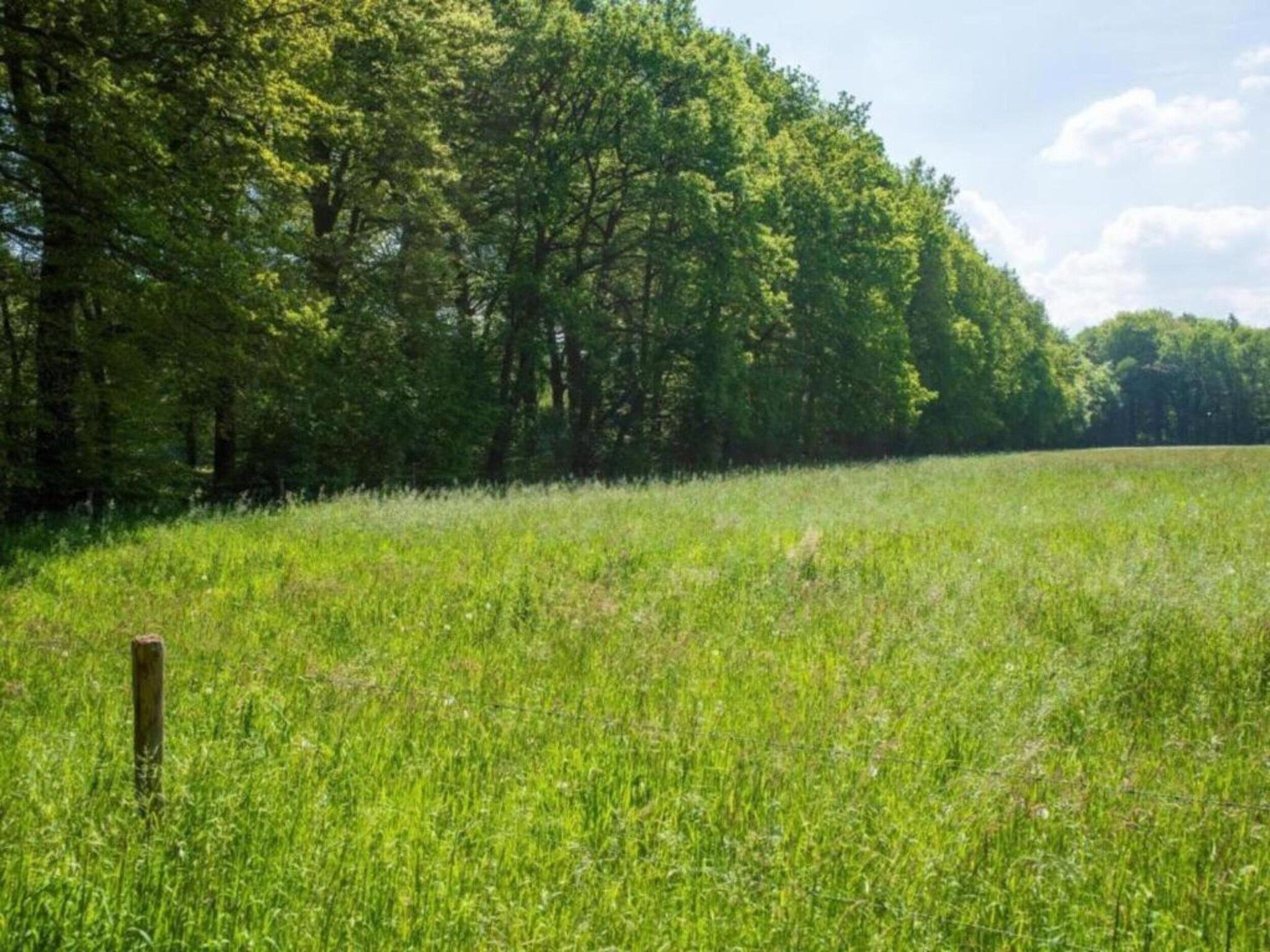 Aan de Oosterschelde in Kattendijke - Foto 29 van 40