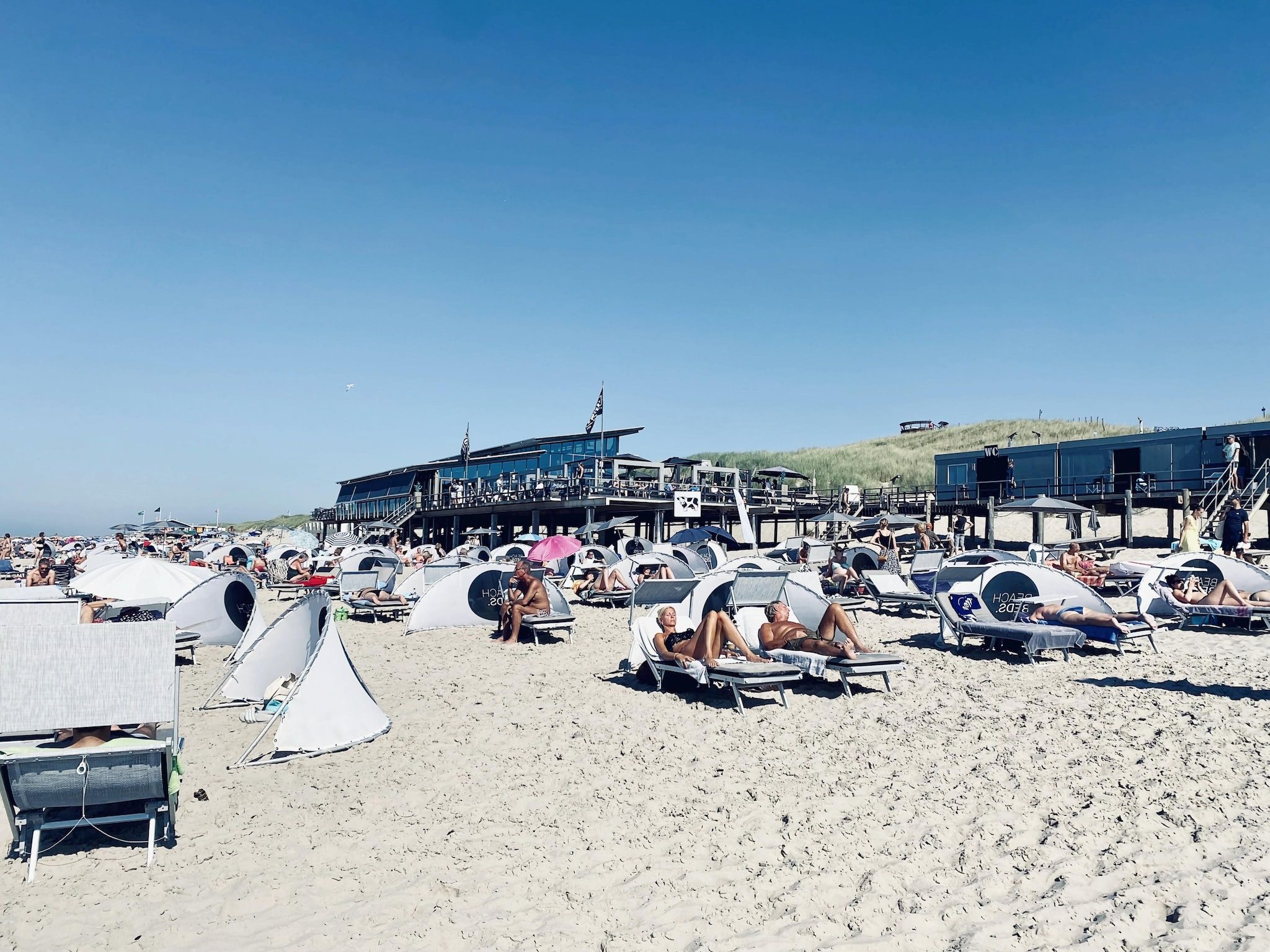 De omgeving van de Biotoop in Callantsoog
