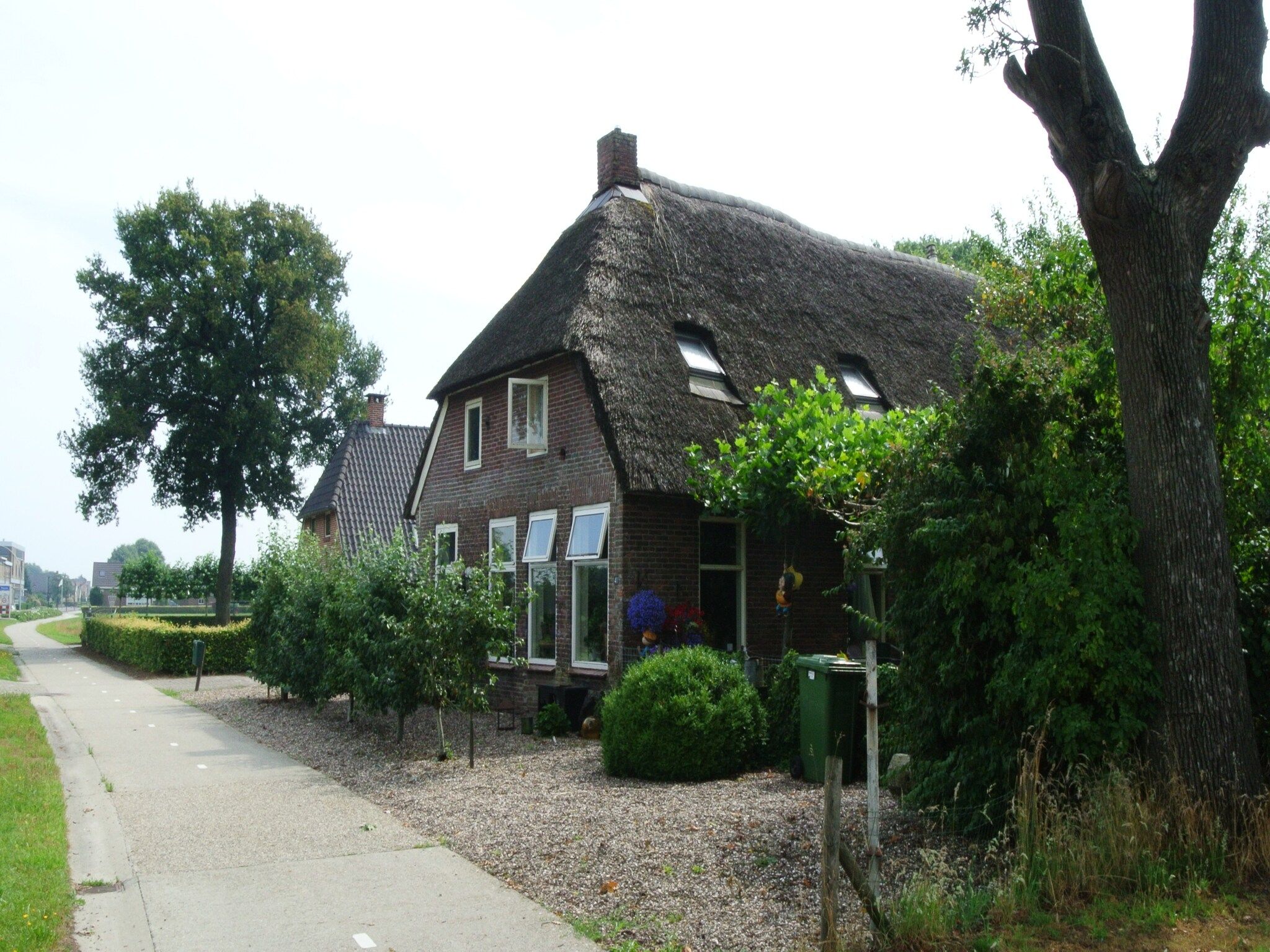 Sfeerbeeld van Wapse in Wapse