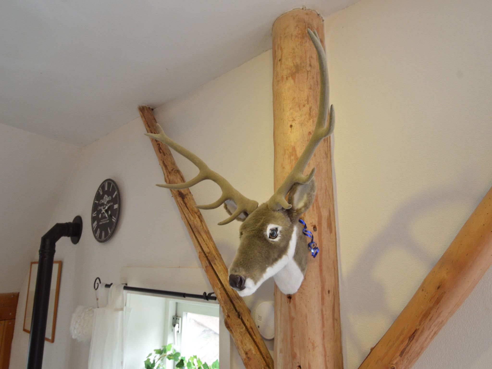 Sfeerbeeld van Wapse in Wapse