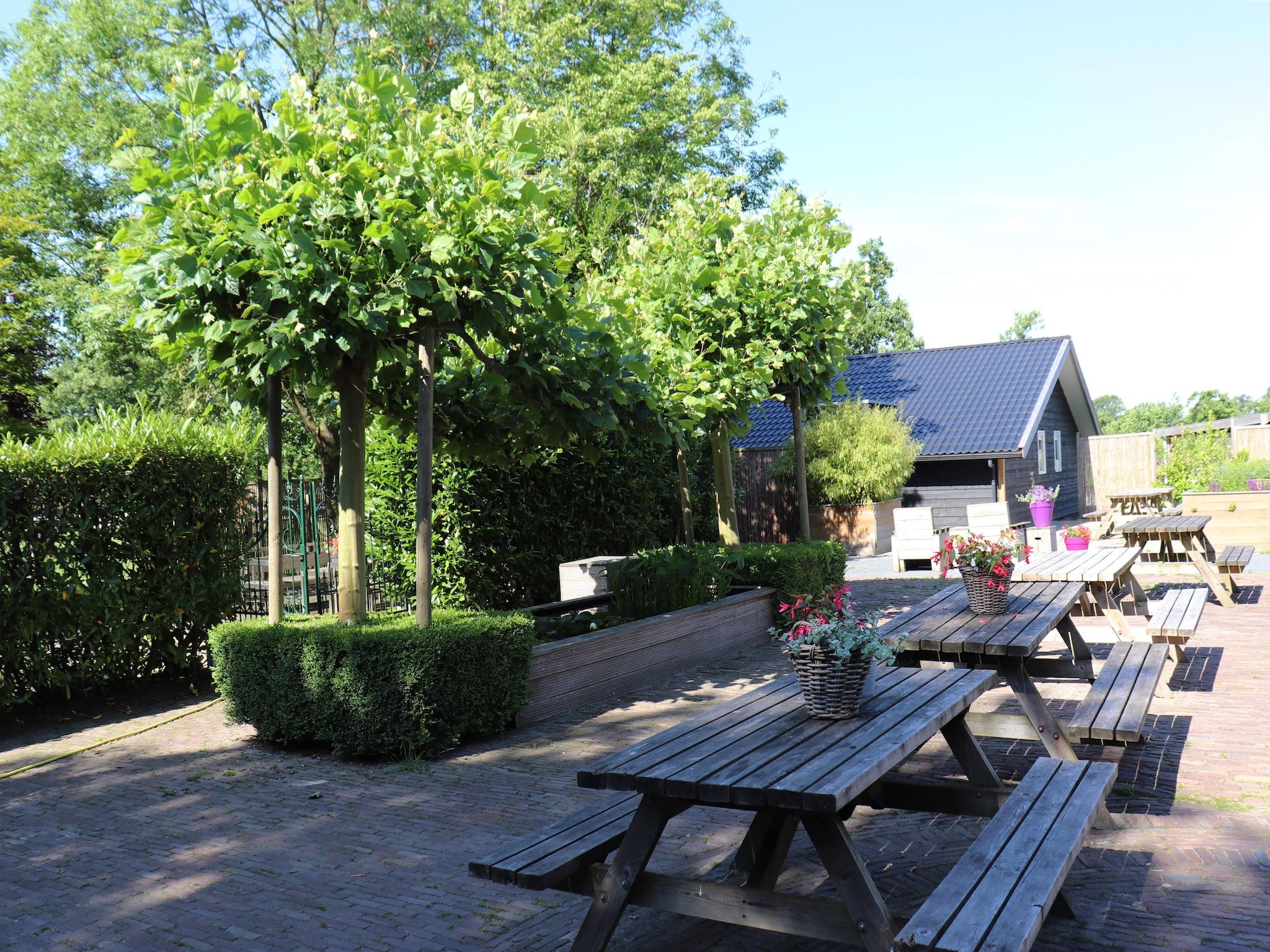 Het terras van Heide State in Noardburgum