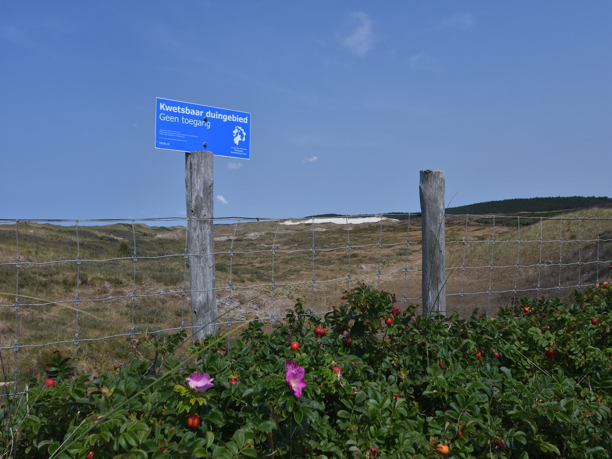 Huize Glory Parel in Bergen aan zee - Foto 22 van 40