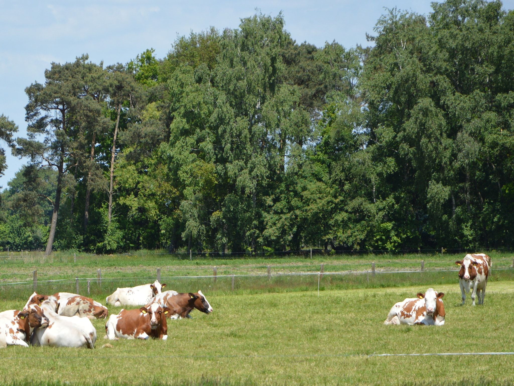 De omgeving van De ouwe diepvries in Haaksbergen