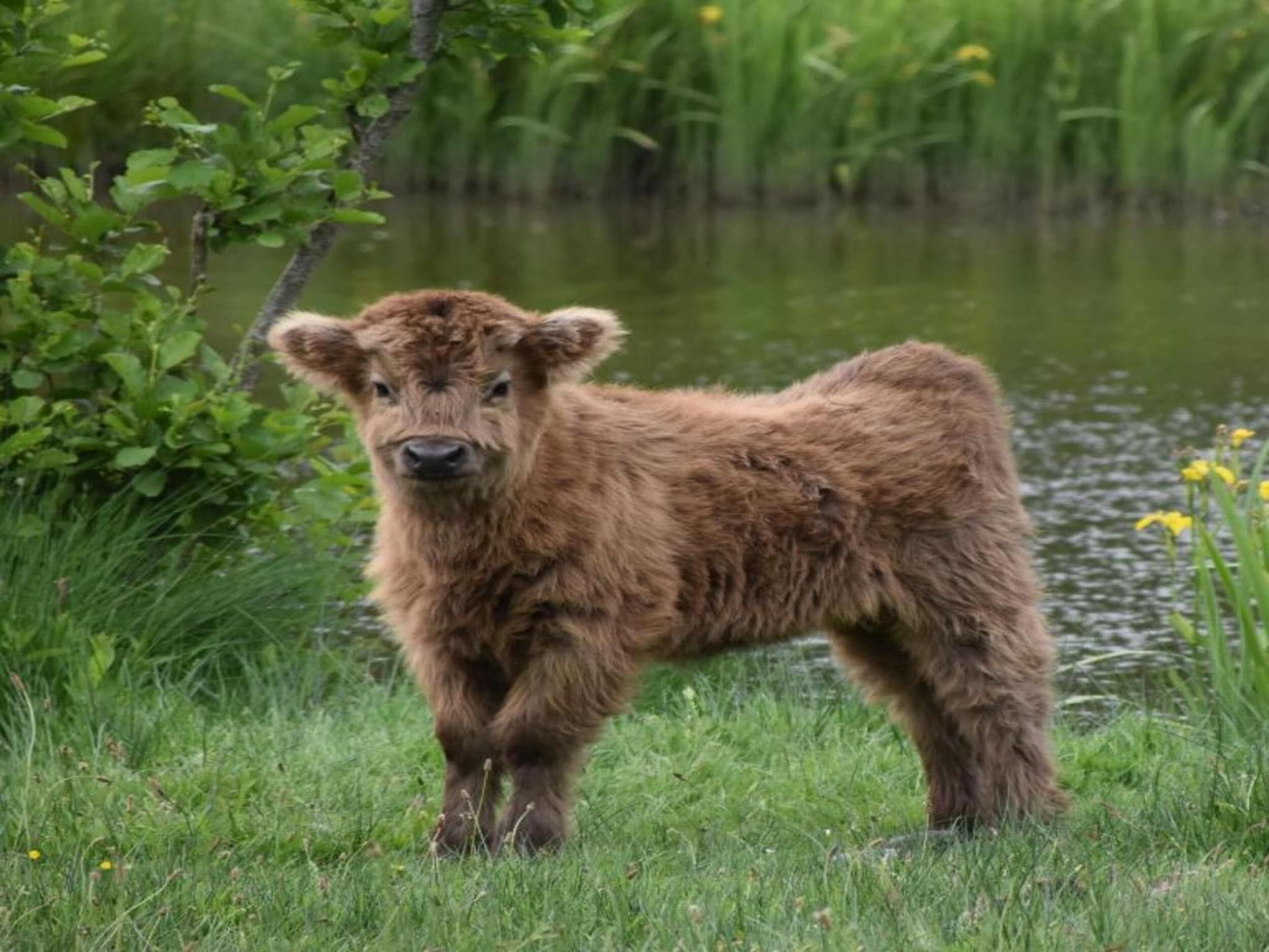 De ouwe diepvries in Haaksbergen - Foto 31 van 40