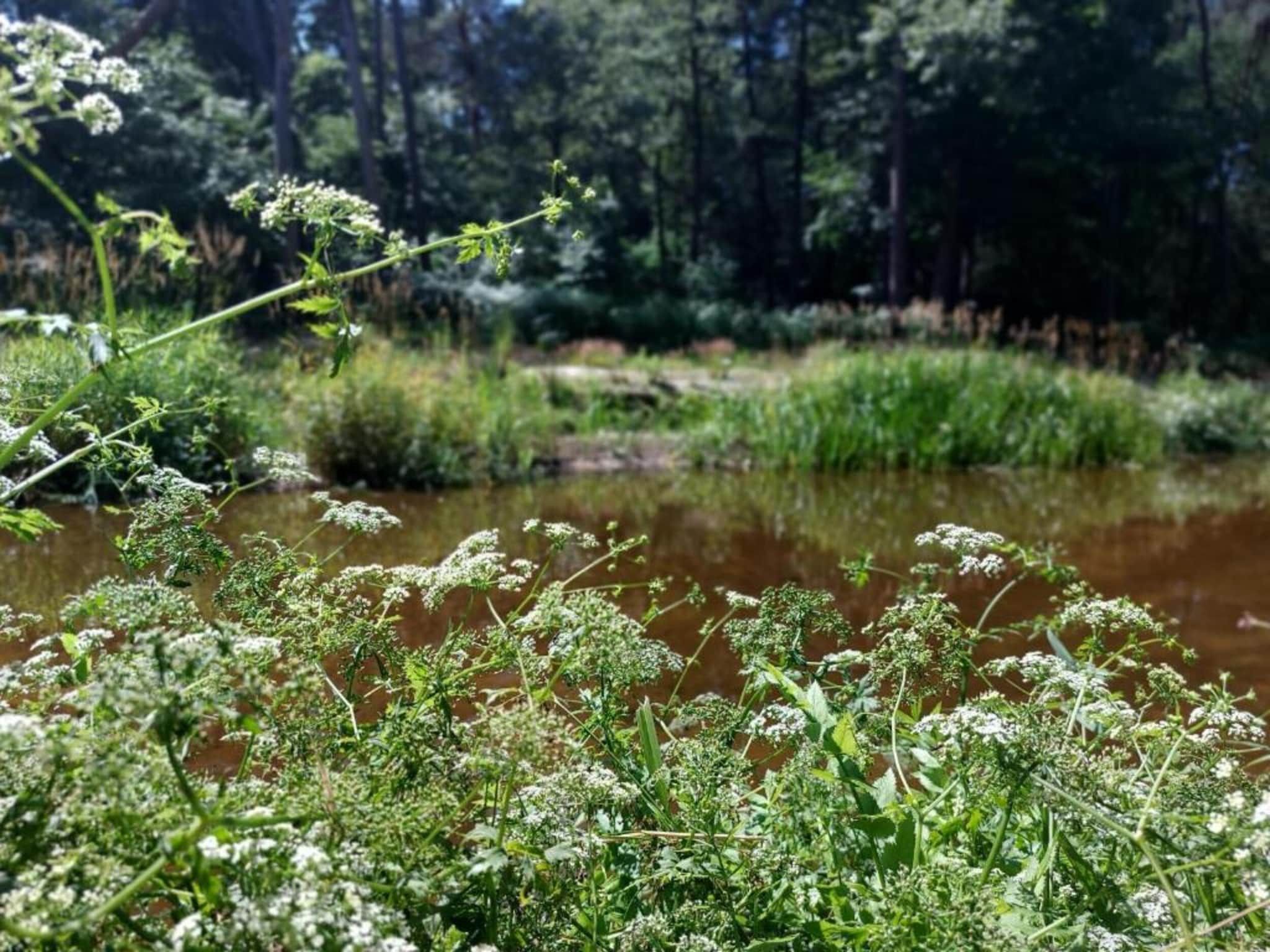 De ouwe diepvries in Haaksbergen - Foto 34 van 40