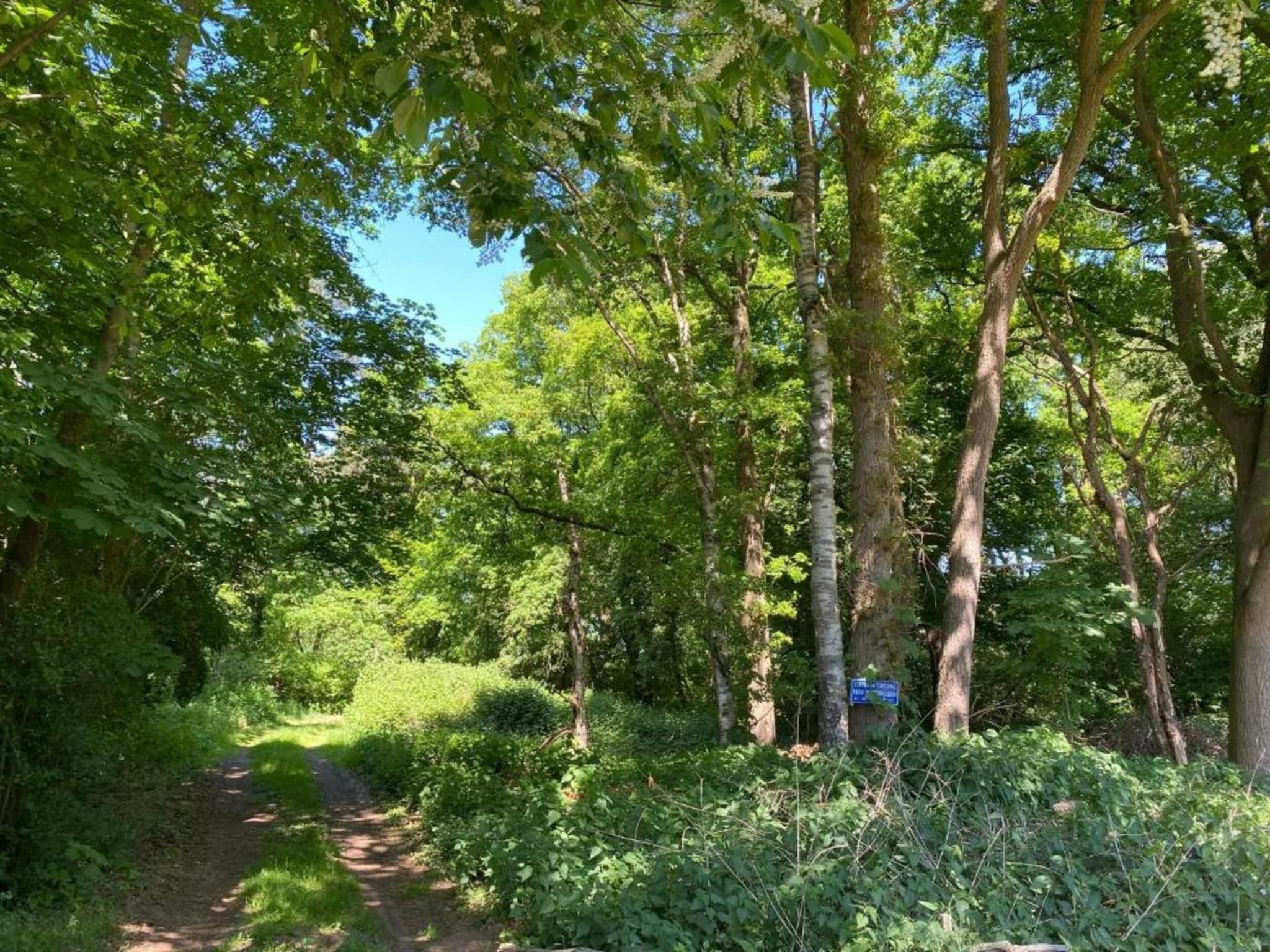 De ouwe diepvries in Haaksbergen - Foto 23 van 40