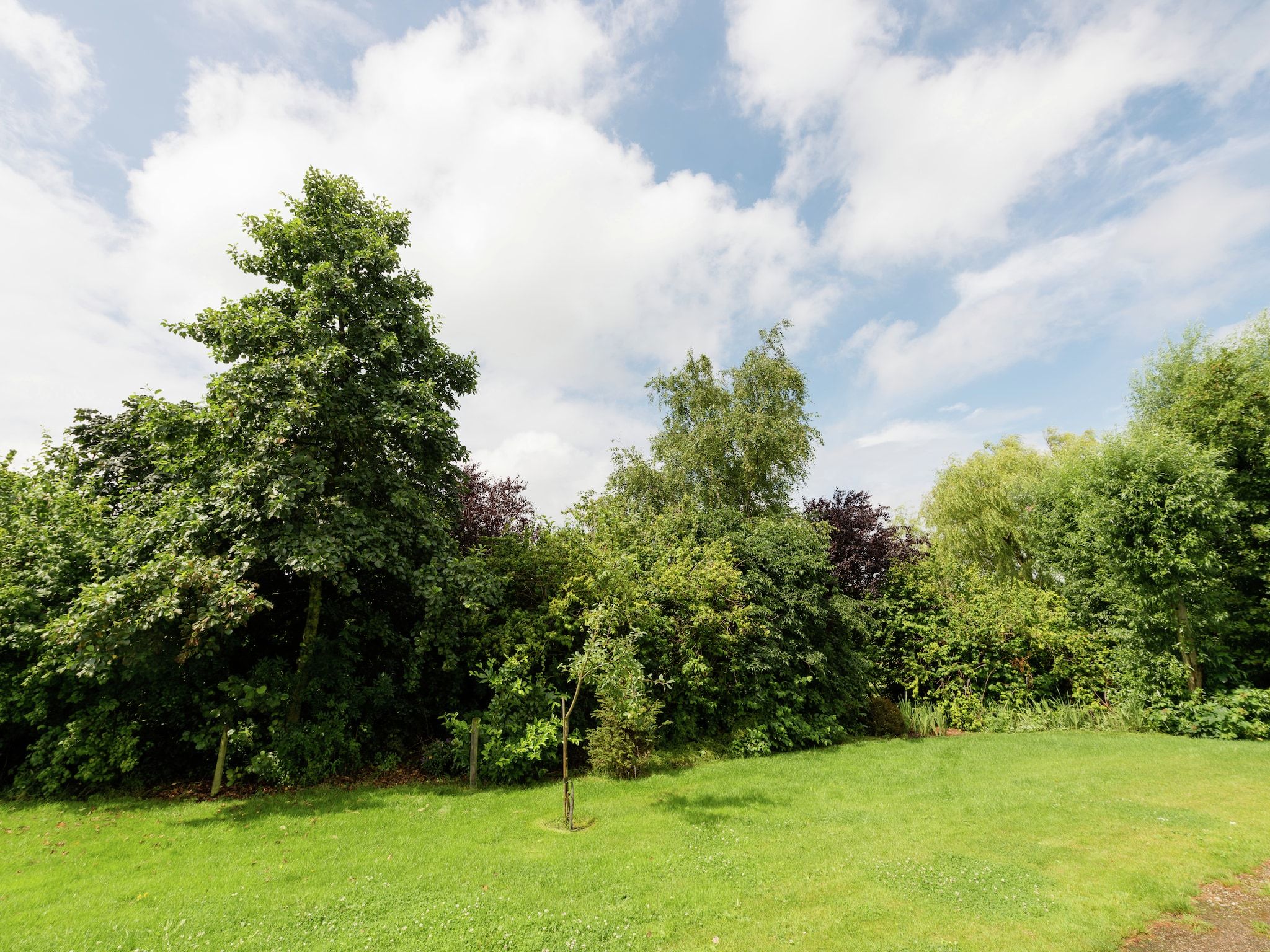 De tuin van Opvakantiebijdeboer in Schellinkhout