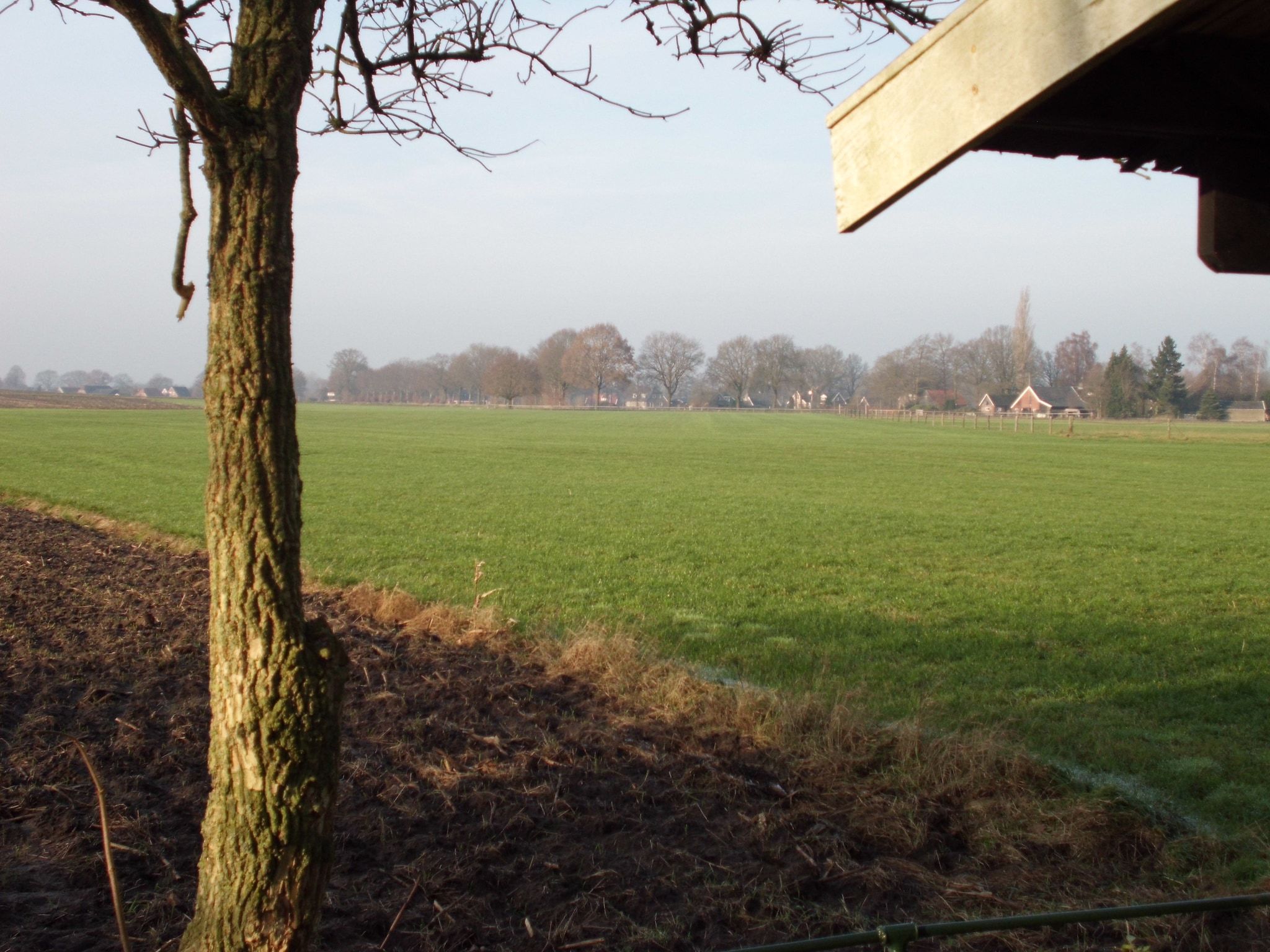 Het uitzicht vanaf De Merel in Den ham