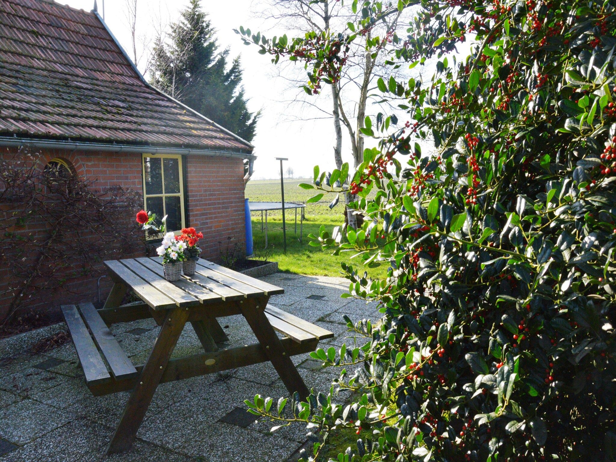 Het terras van De Merel in Den ham