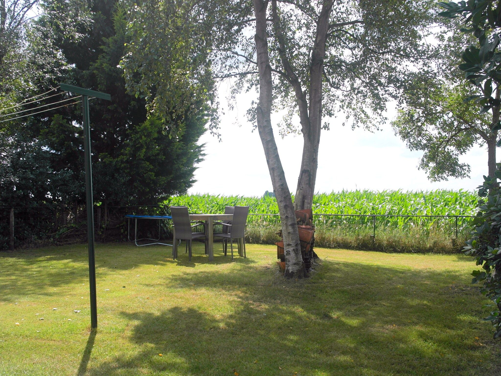 De tuin van De Merel in Den ham