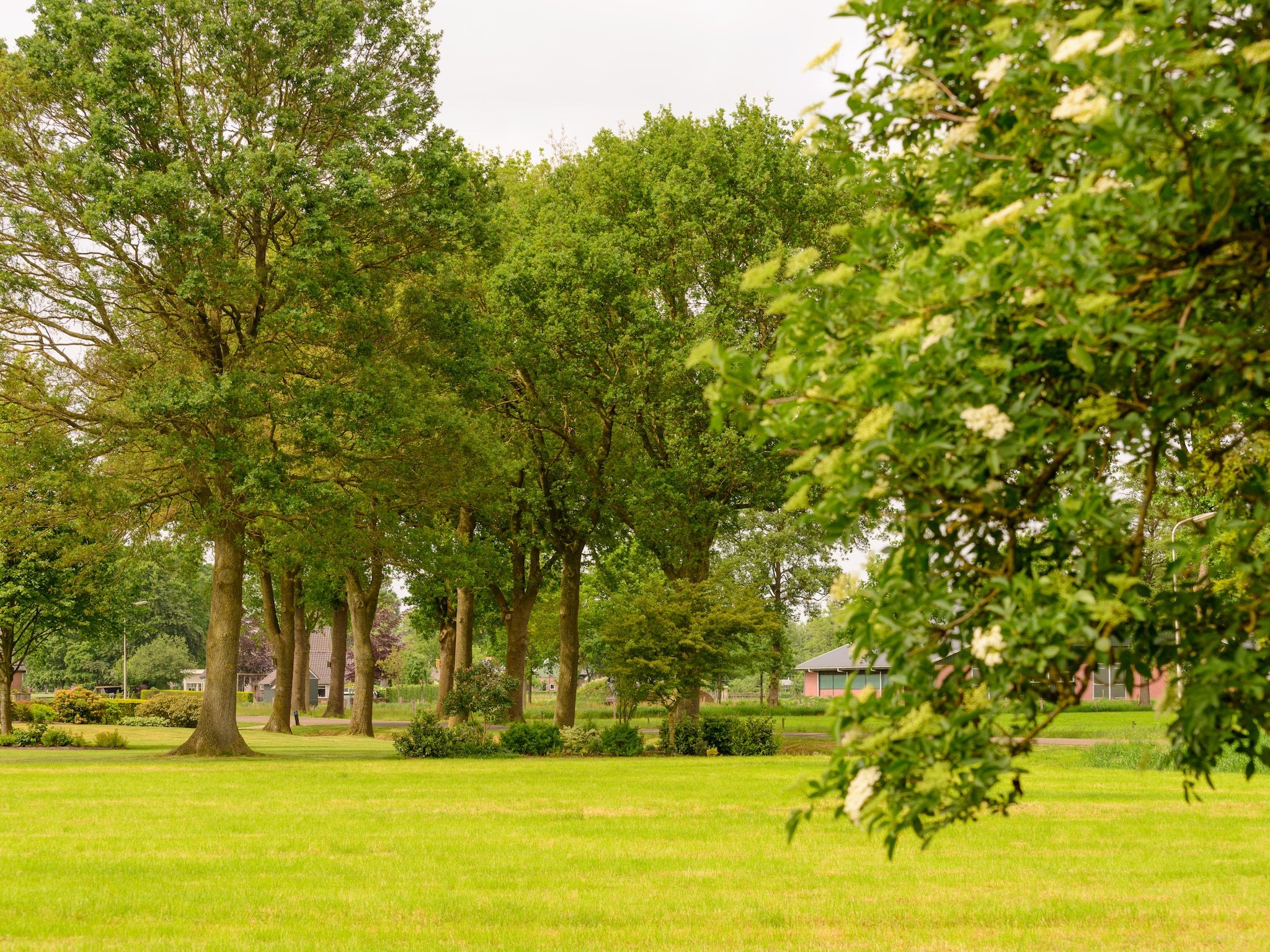 De Merel in Den ham - Foto 34 van 40