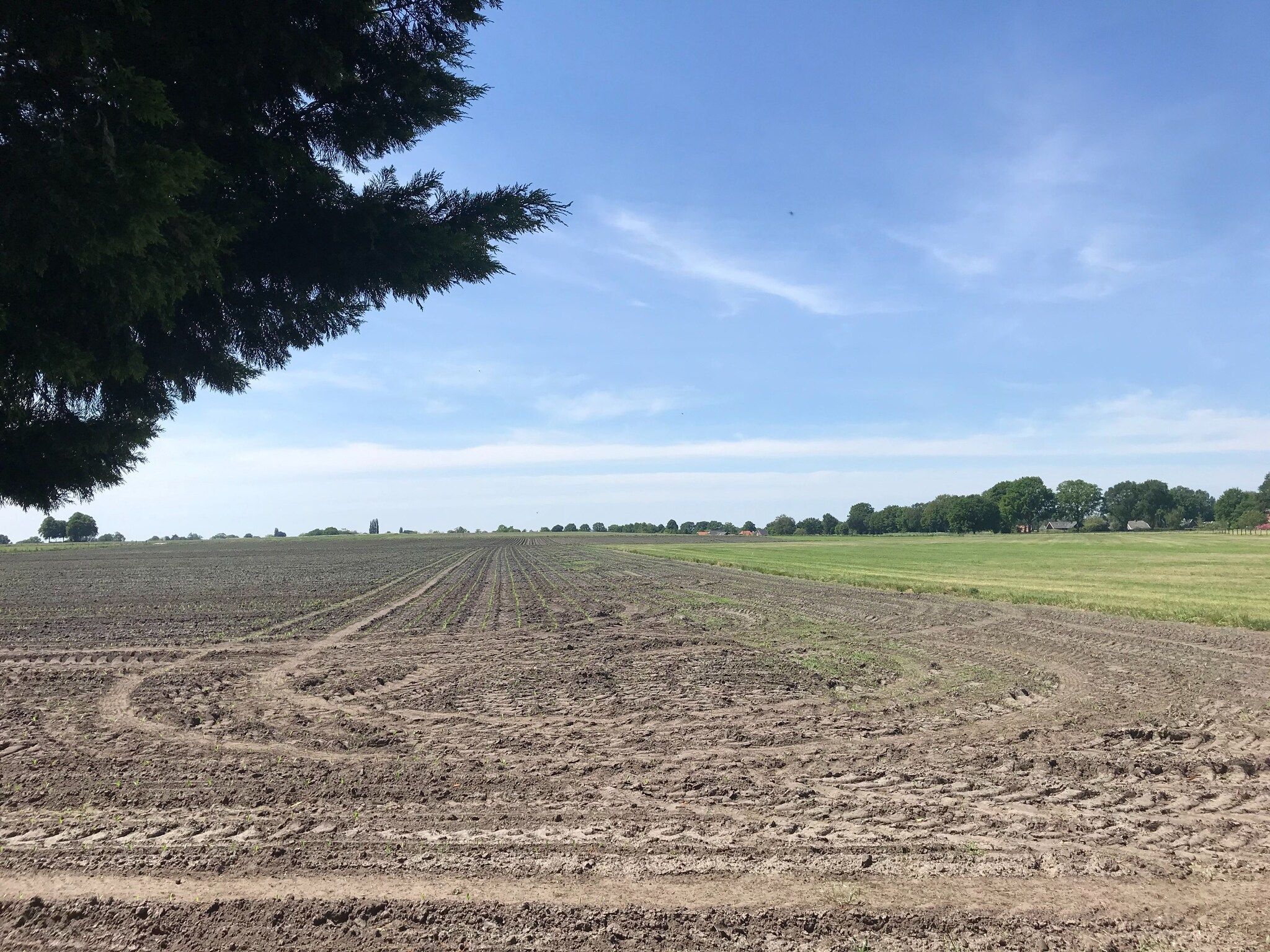 De Merel in Den ham - Foto 36 van 40