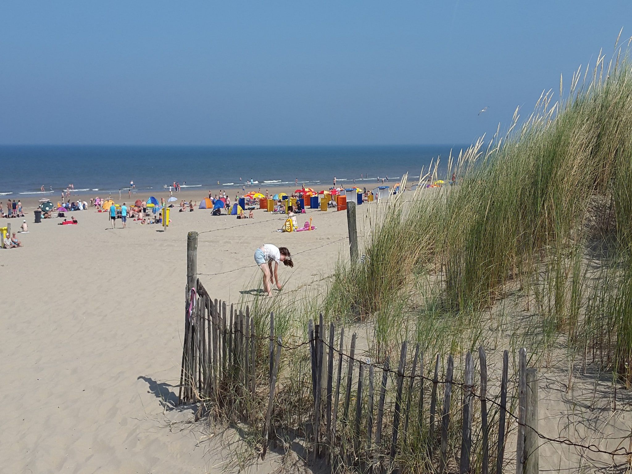 De omgeving van Marie aan Zee in Noordwijkerhout