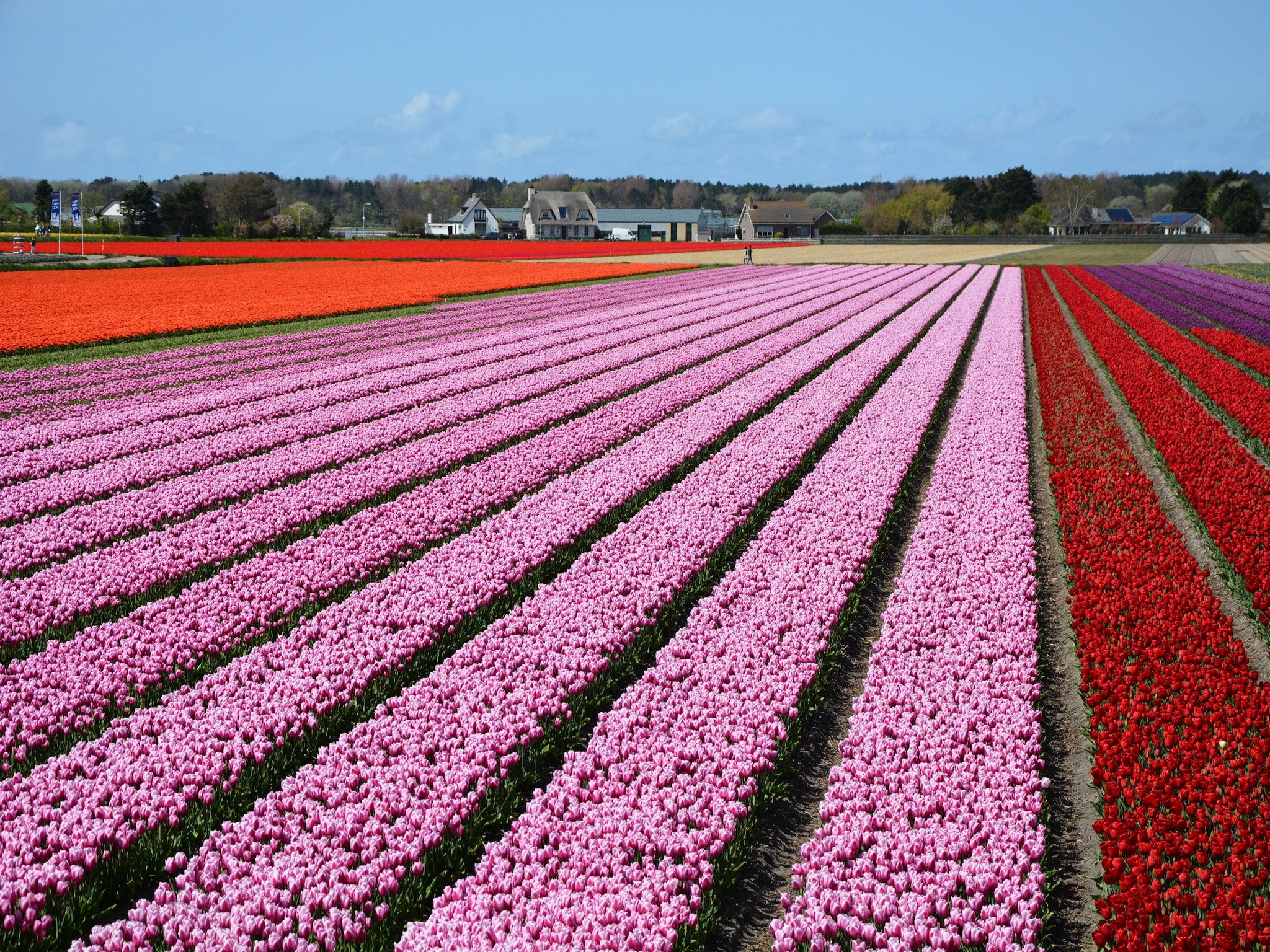 De omgeving van Marie aan Zee in Noordwijkerhout