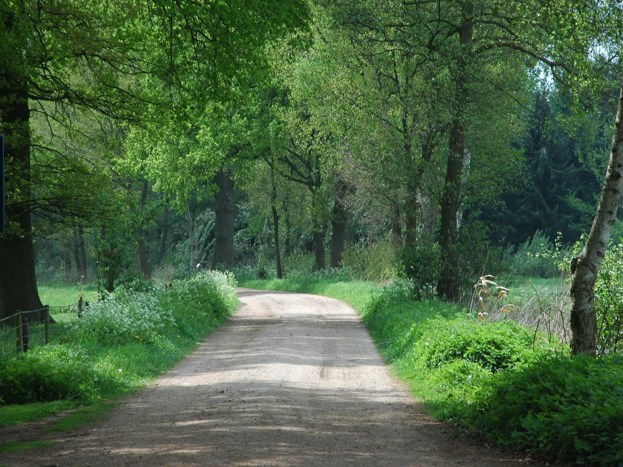 De omgeving van Huus in 't Hagt in Aalten