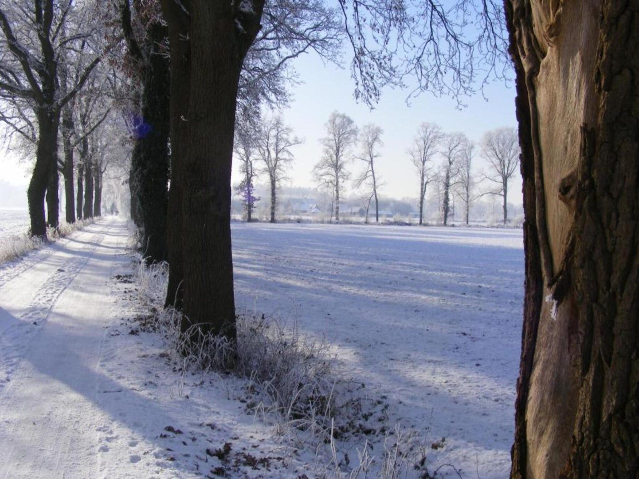 Huus in 't Hagt in Aalten - Foto 33 van 36