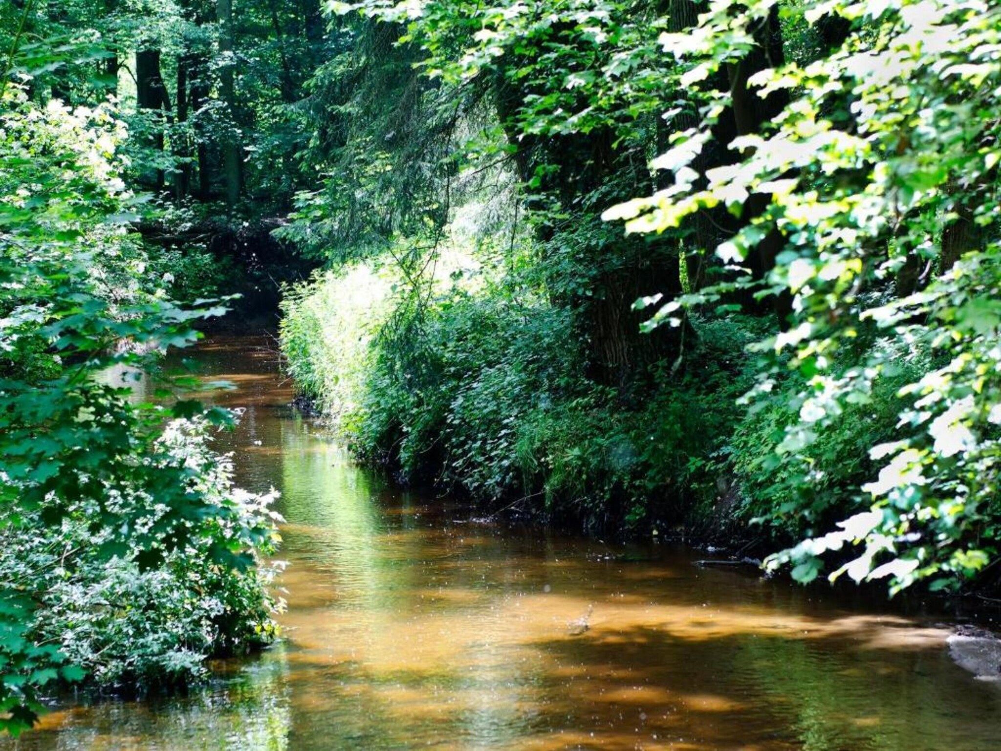 Huus in 't Hagt in Aalten - Foto 23 van 36