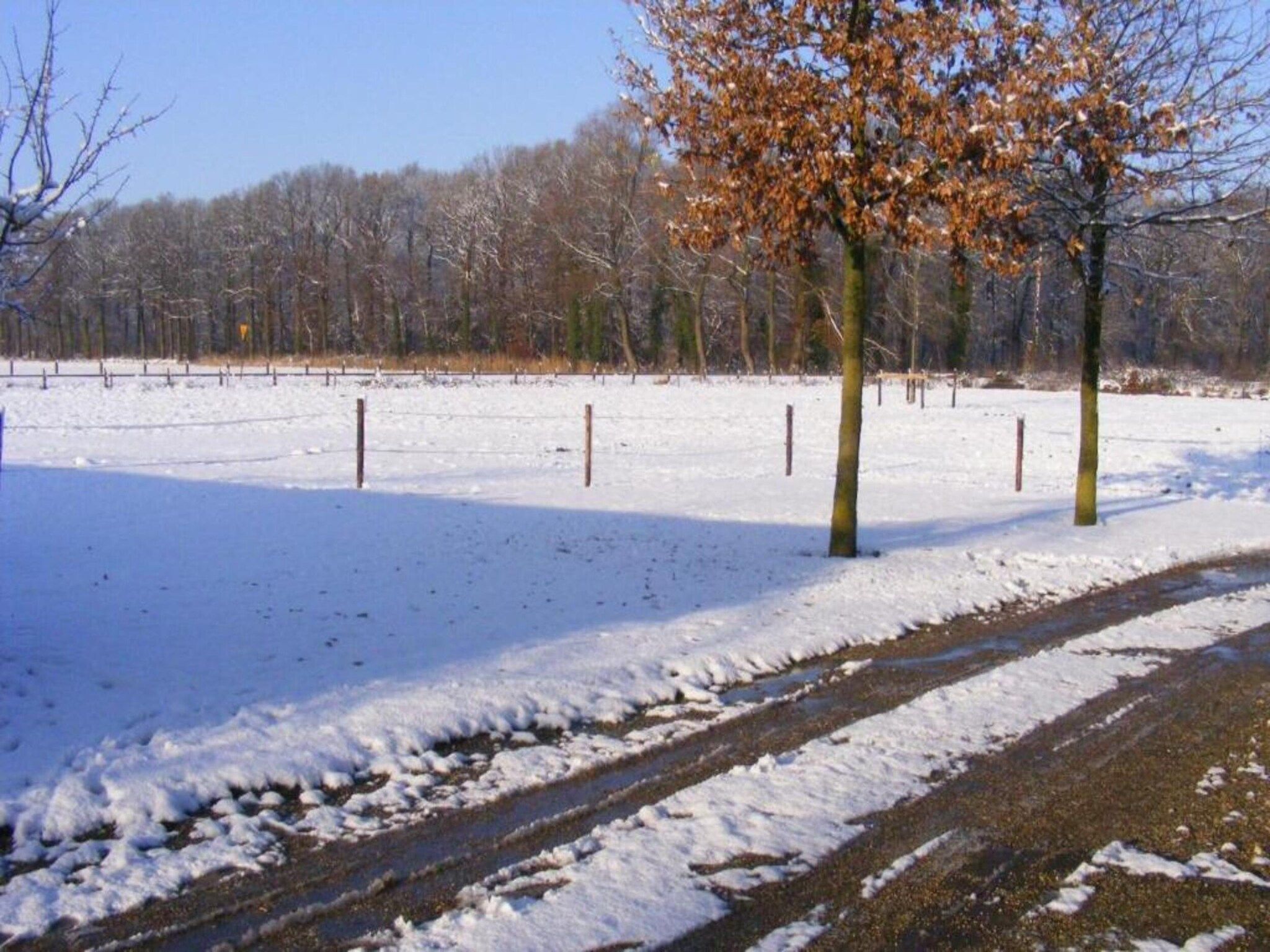 Huus in 't Hagt in Aalten - Foto 34 van 36