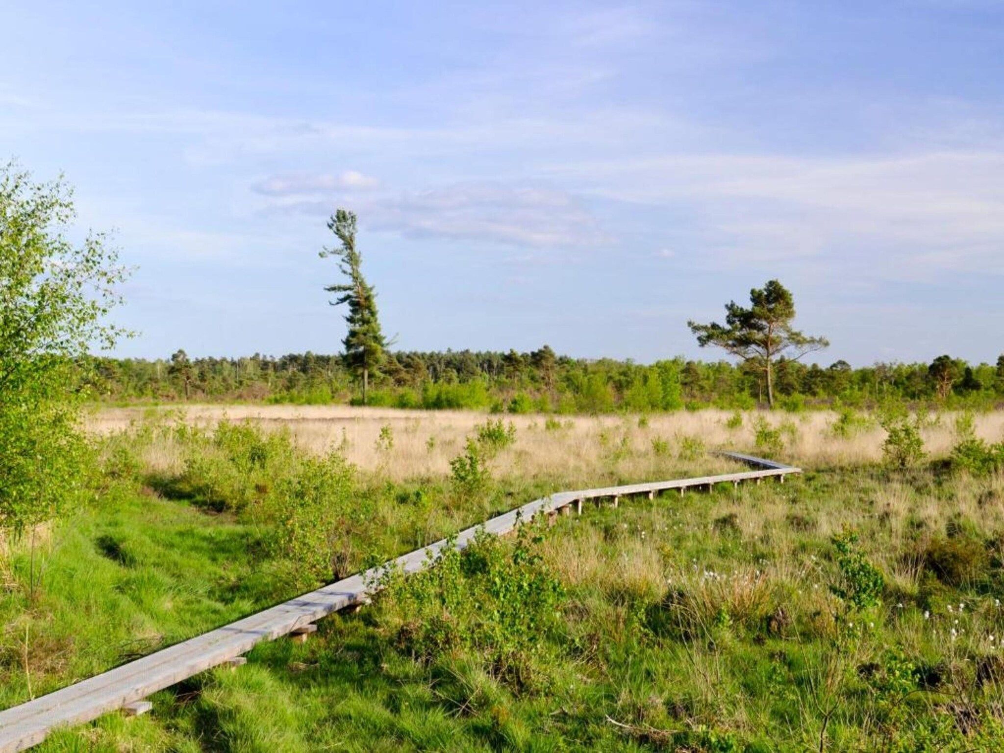 Huus in 't Hagt in Aalten - Foto 24 van 36