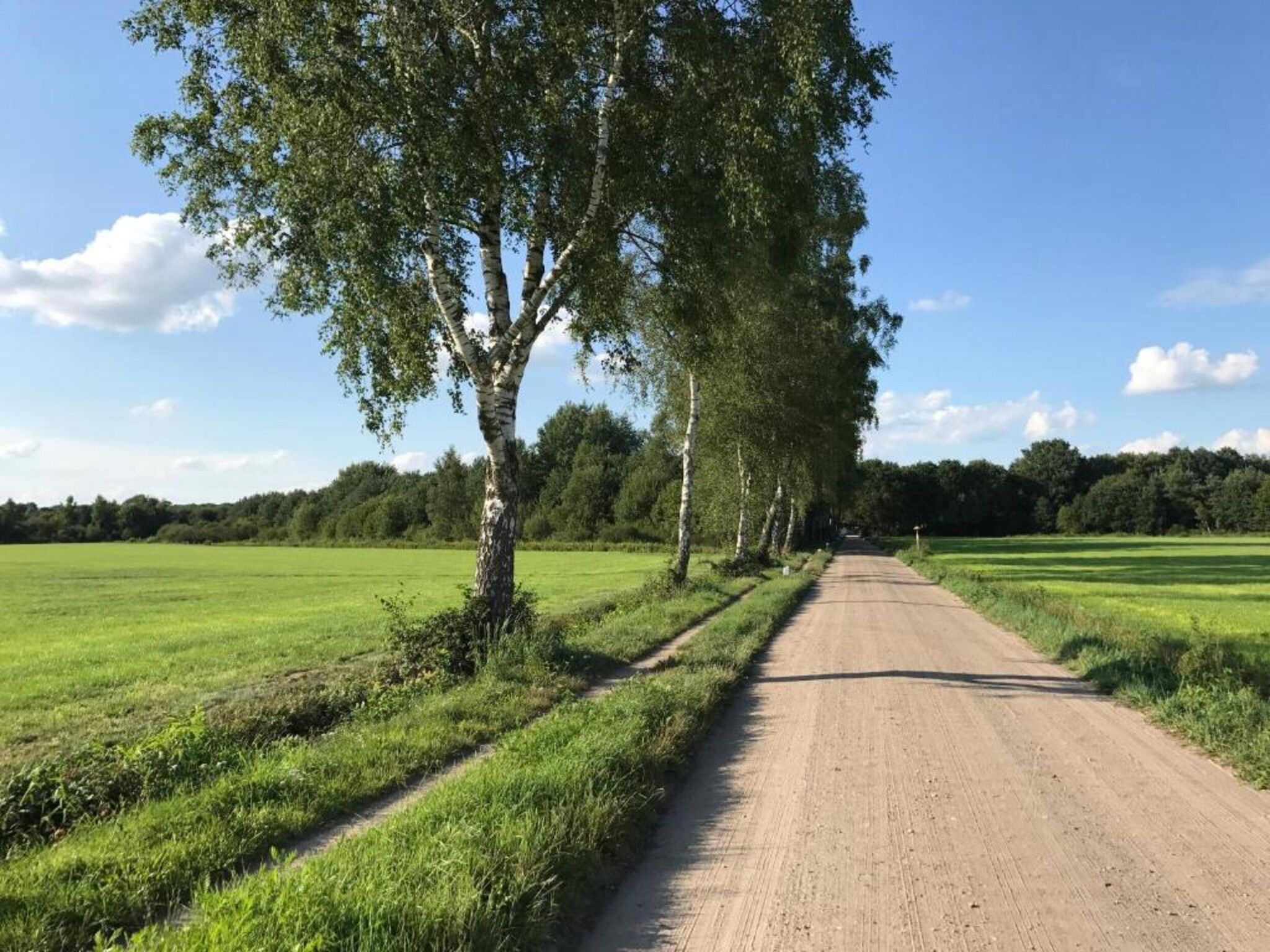 Huus in 't Hagt in Aalten - Foto 25 van 36