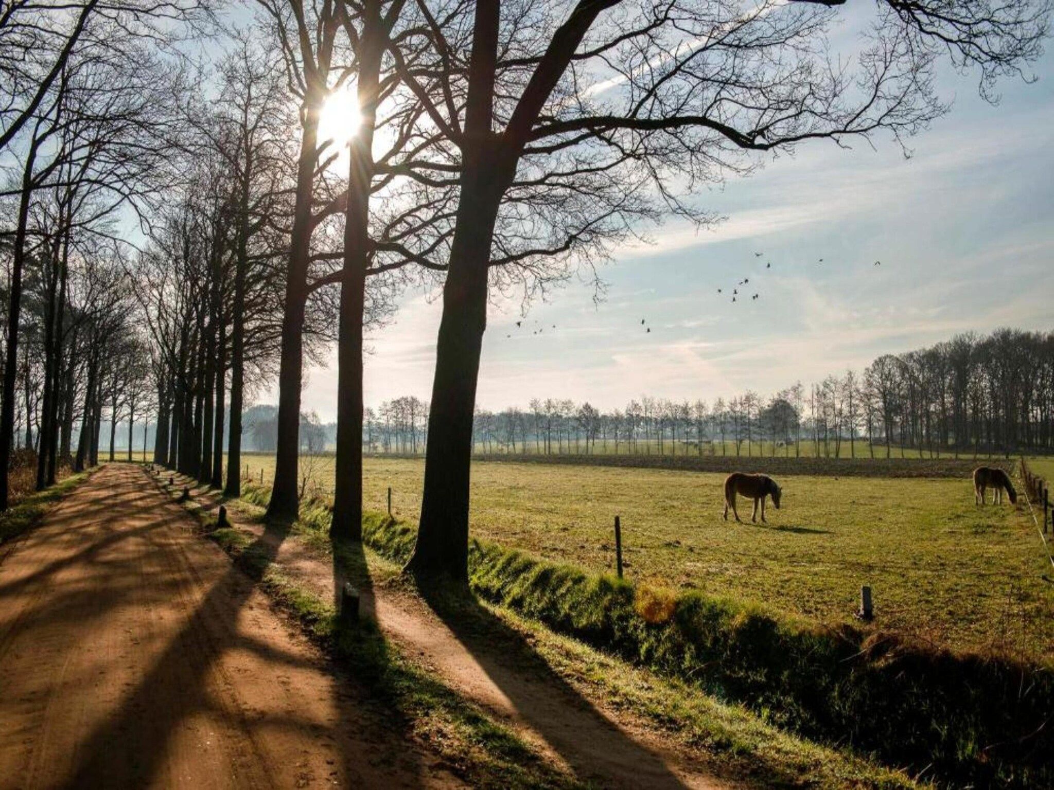 Huus in 't Hagt in Aalten - Foto 29 van 36