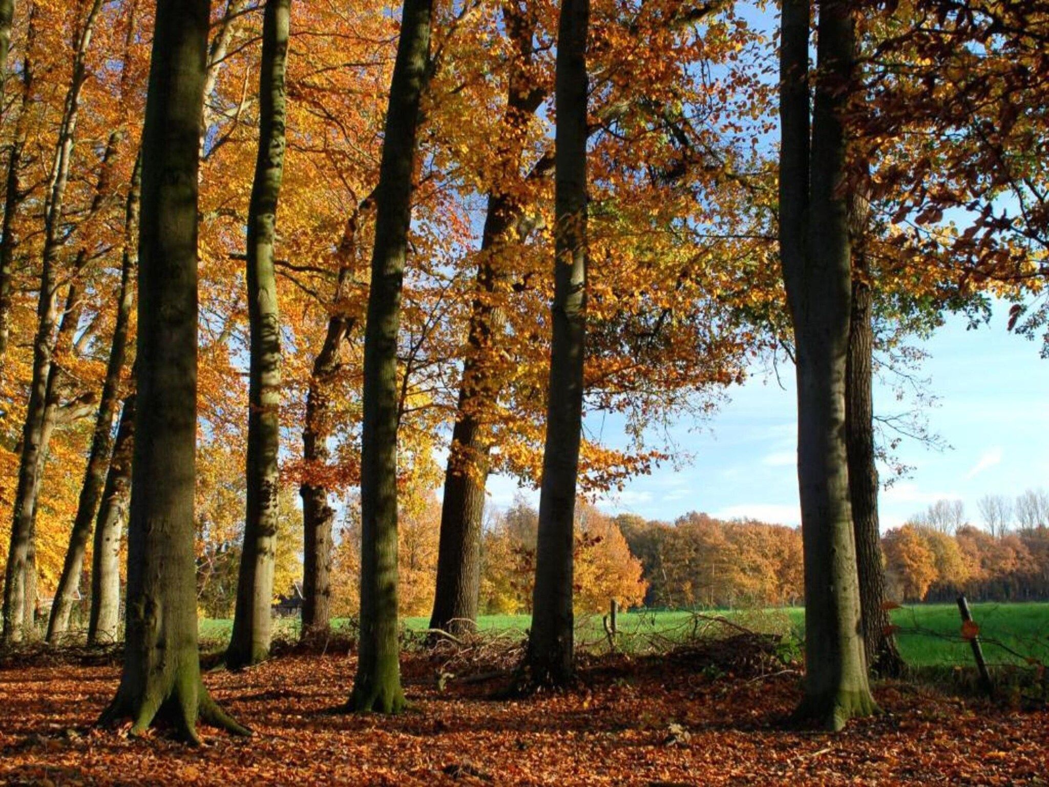 Huus in 't Hagt in Aalten - Foto 30 van 36