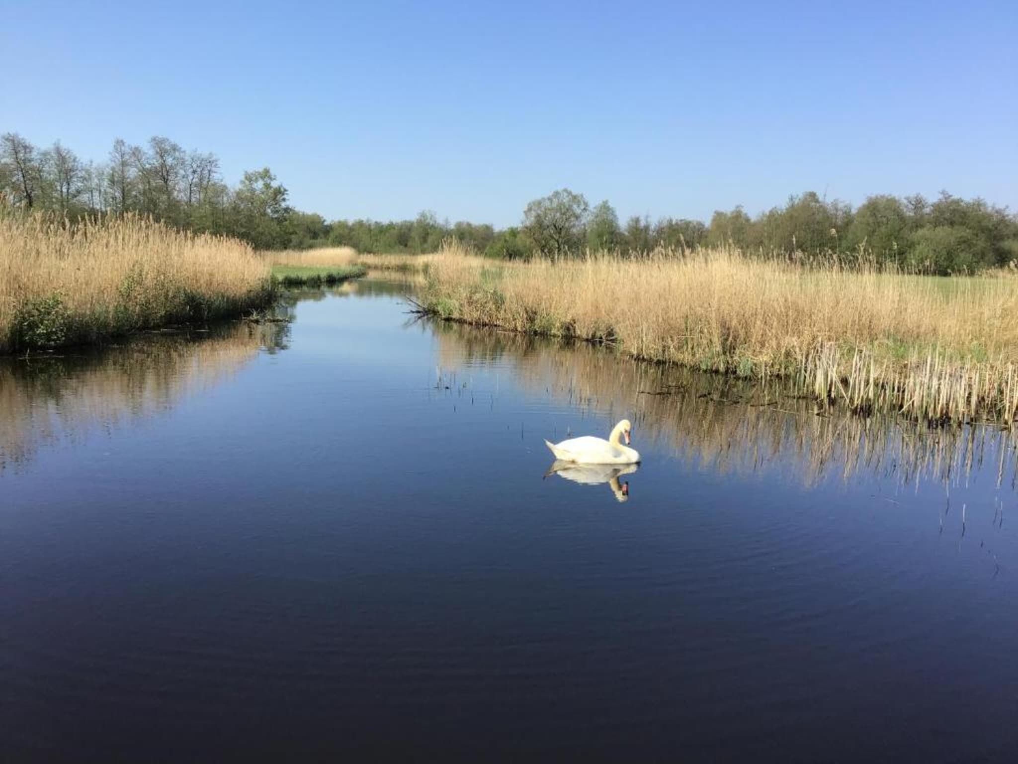 Waterpark Belterwiede 2 in Wanneperveen - Foto 34 van 40