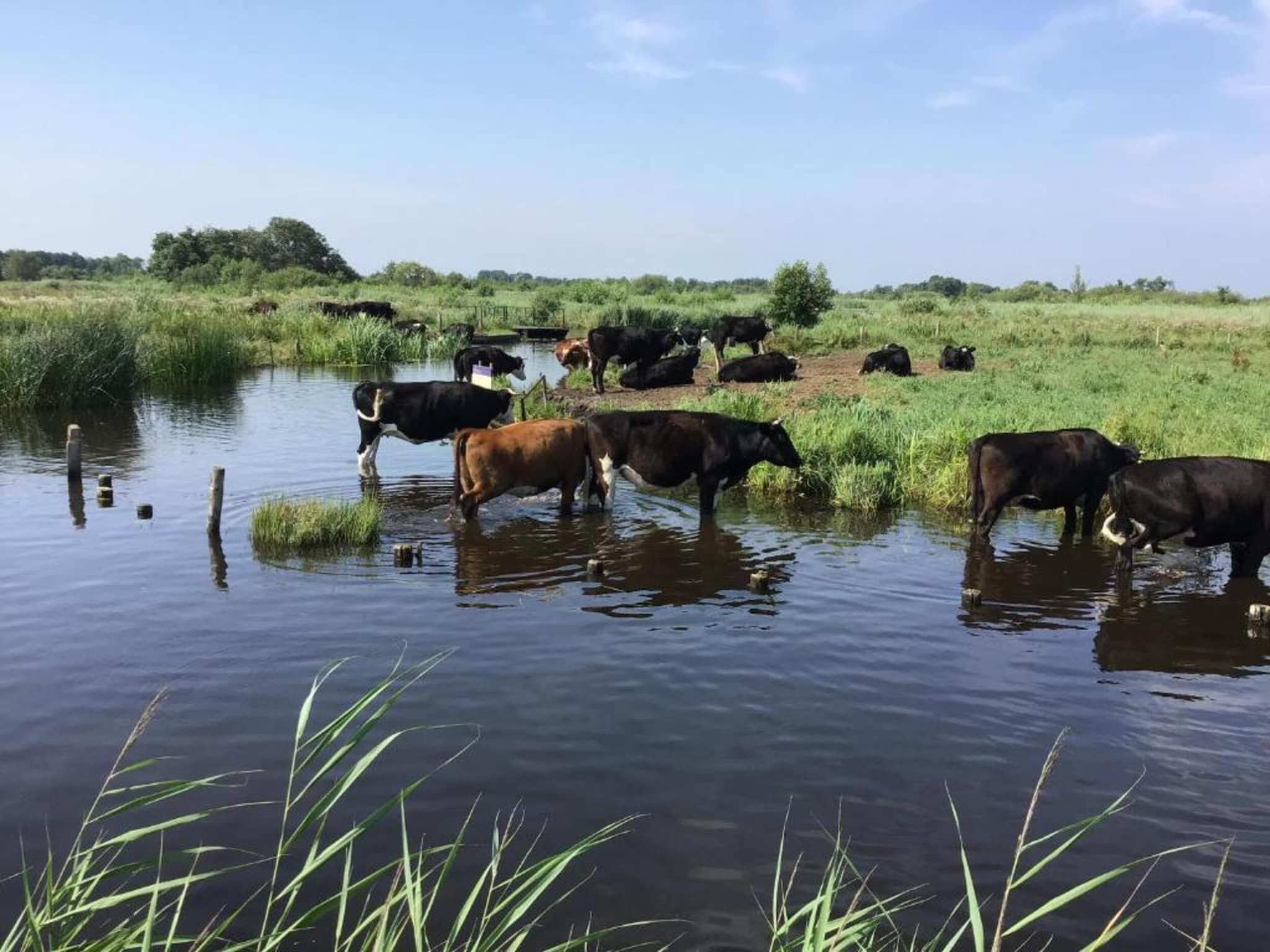 Waterpark Belterwiede 2 in Wanneperveen - Foto 20 van 40