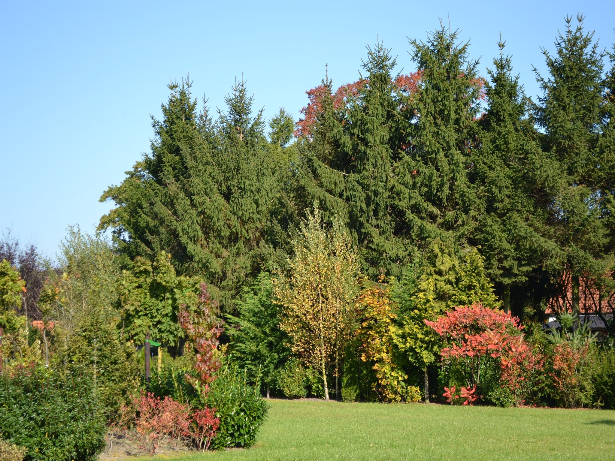 De tuin van de Veluwse Vrijheid in Eerbeek