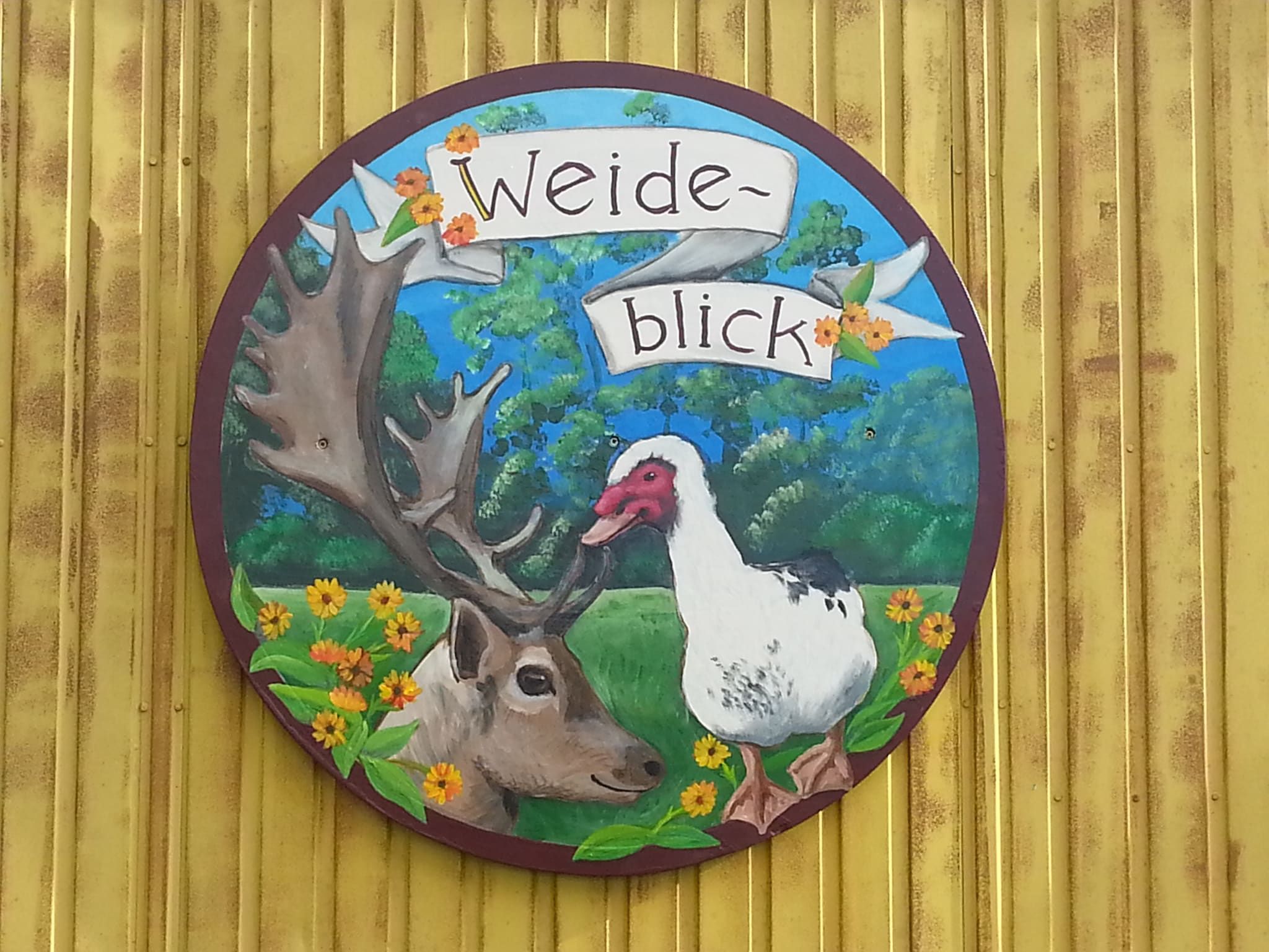 Sfeerbeeld van Pipowagen de Weideblick in Bergen op Zoom