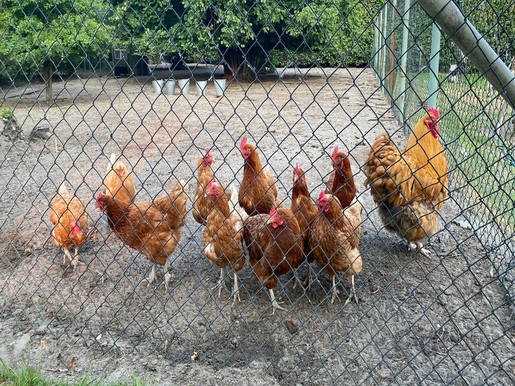 Voorzieningen bij Pipowagen de Weideblick in Bergen op Zoom