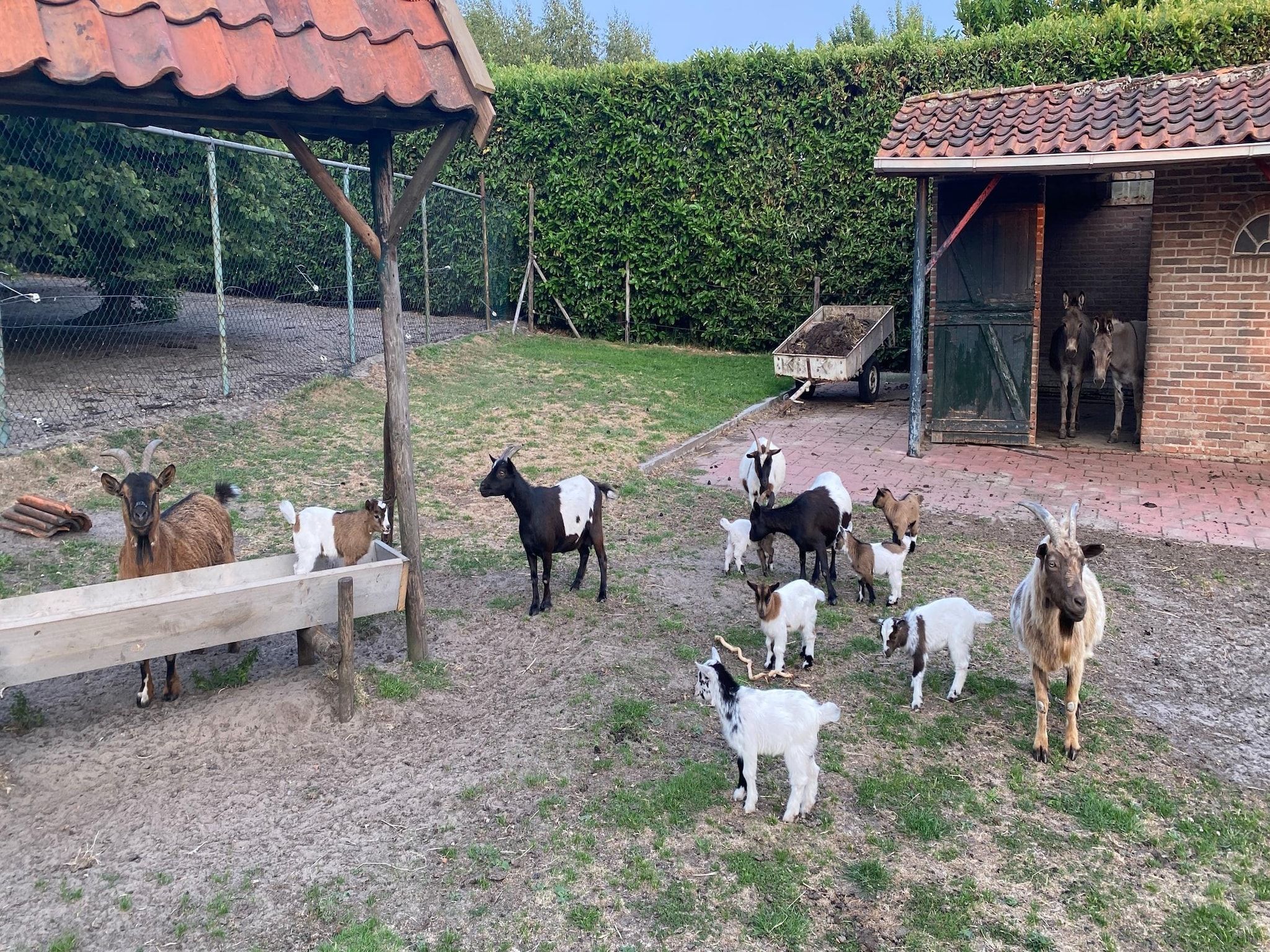 Voorzieningen bij Pipowagen de Weideblick in Bergen op Zoom