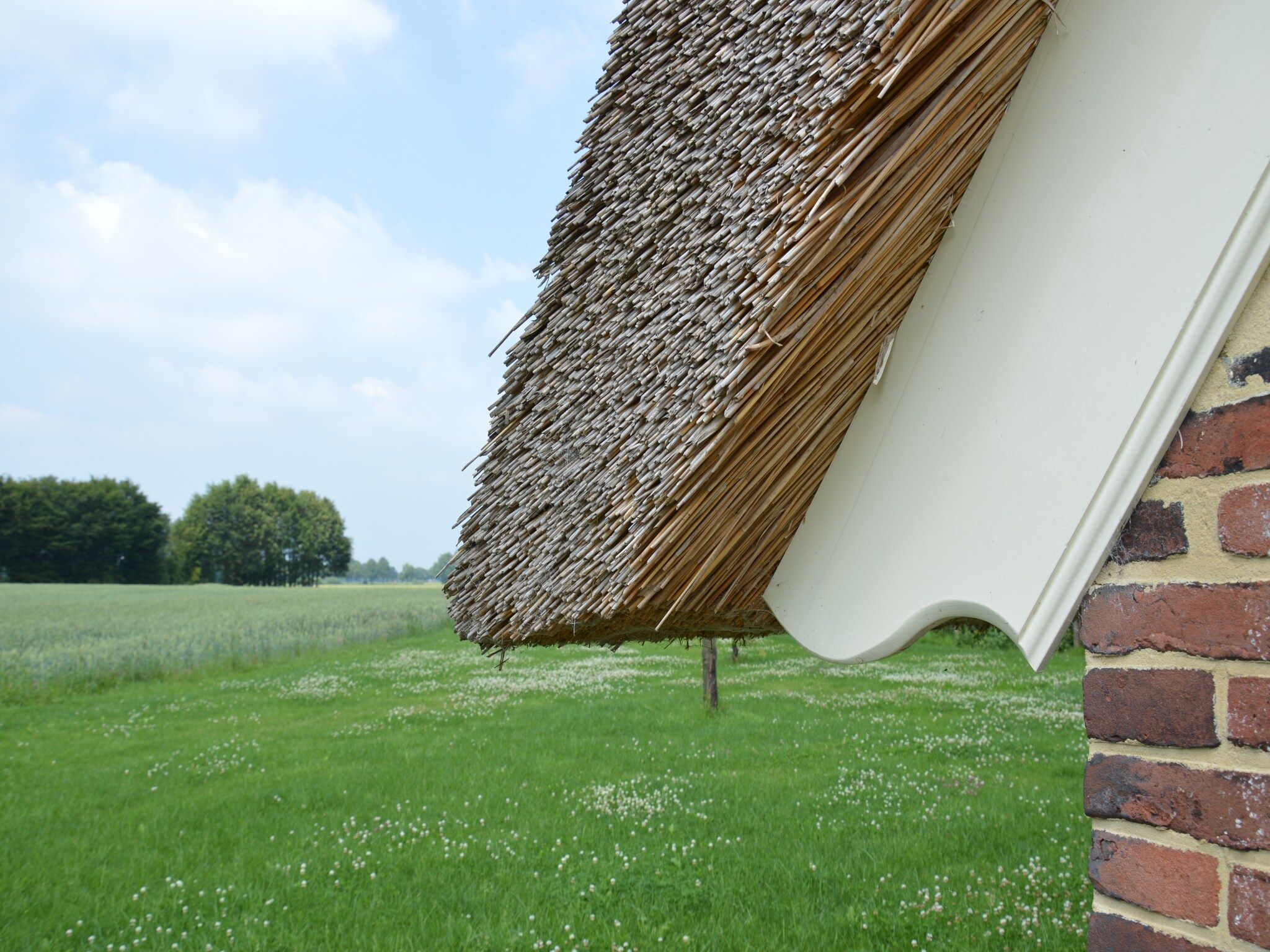 Sfeerbeeld van Kabinet in Geesteren