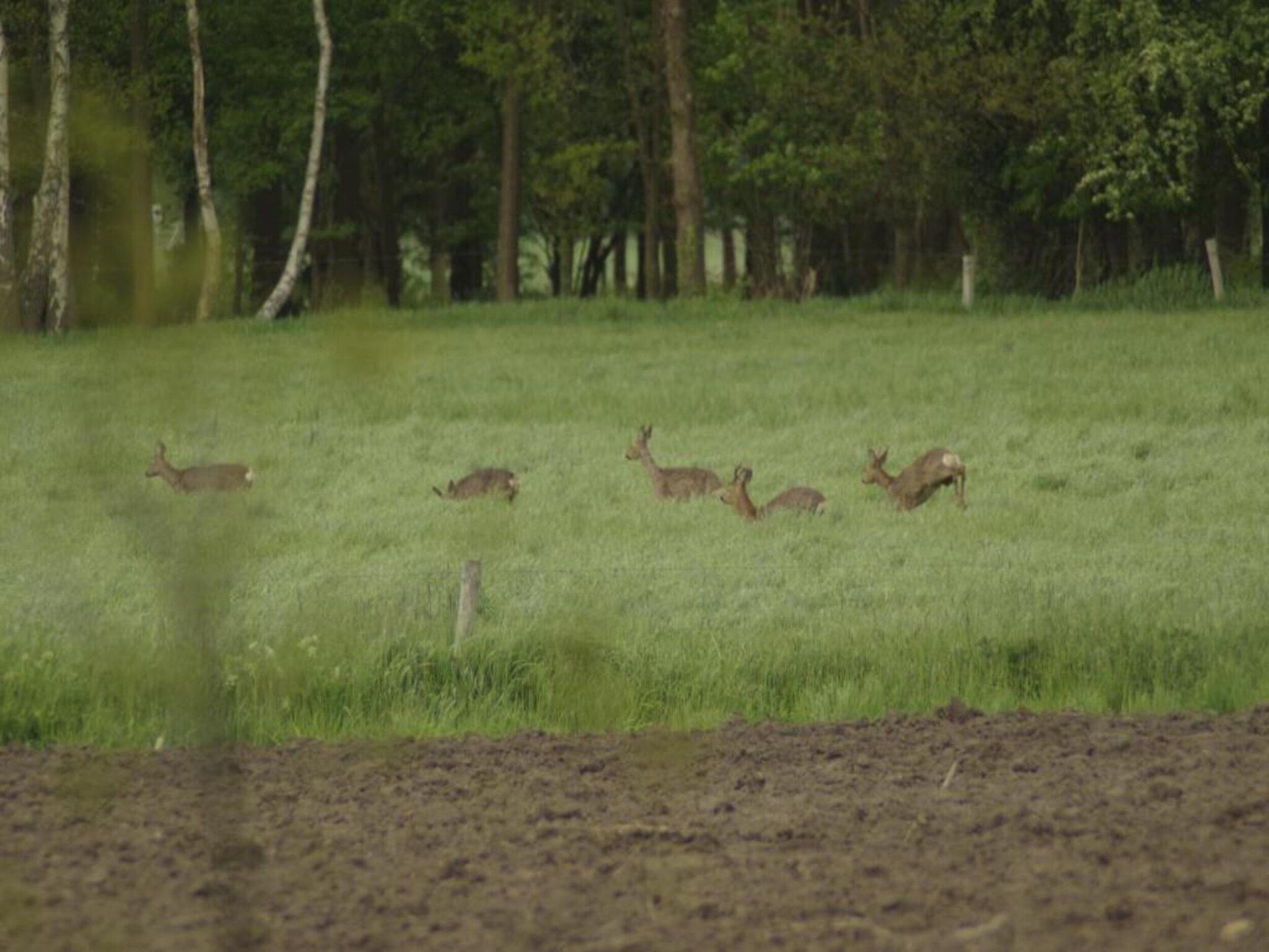 Kabinet in Geesteren - Foto 28 van 37