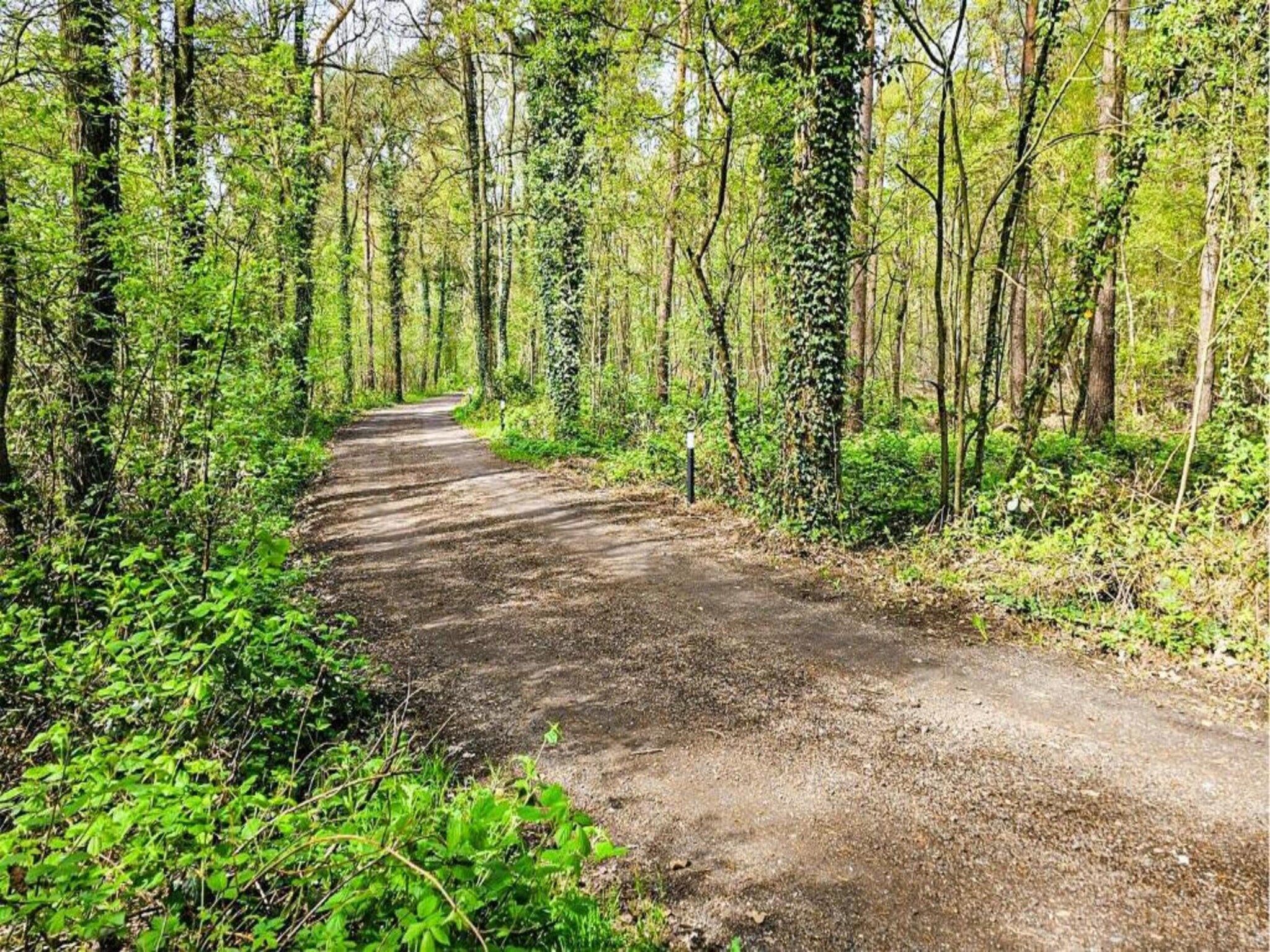 Kabinet in Geesteren - Foto 24 van 37