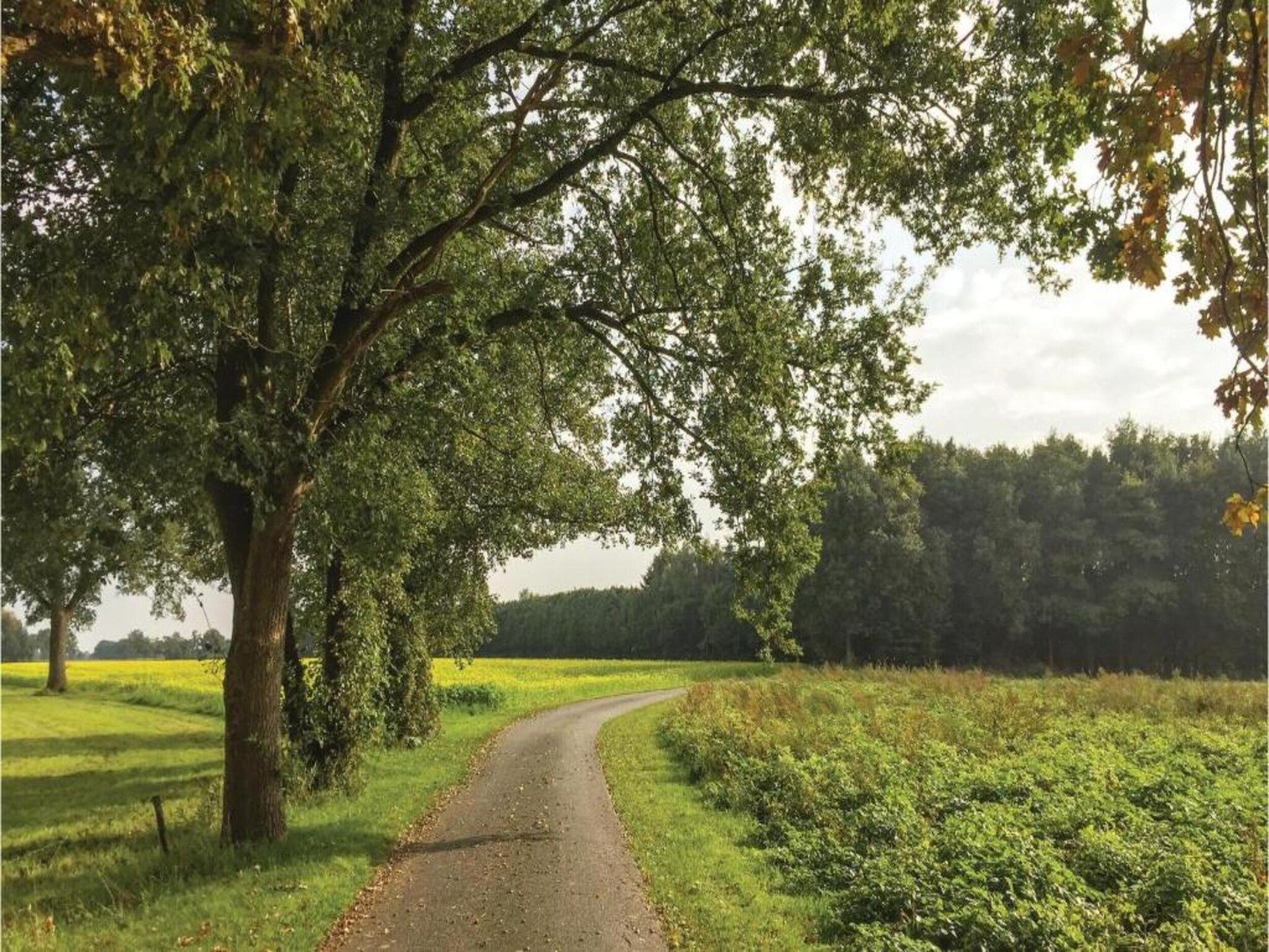 Kabinet & Dekenkist in Geesteren - Foto 29 van 36