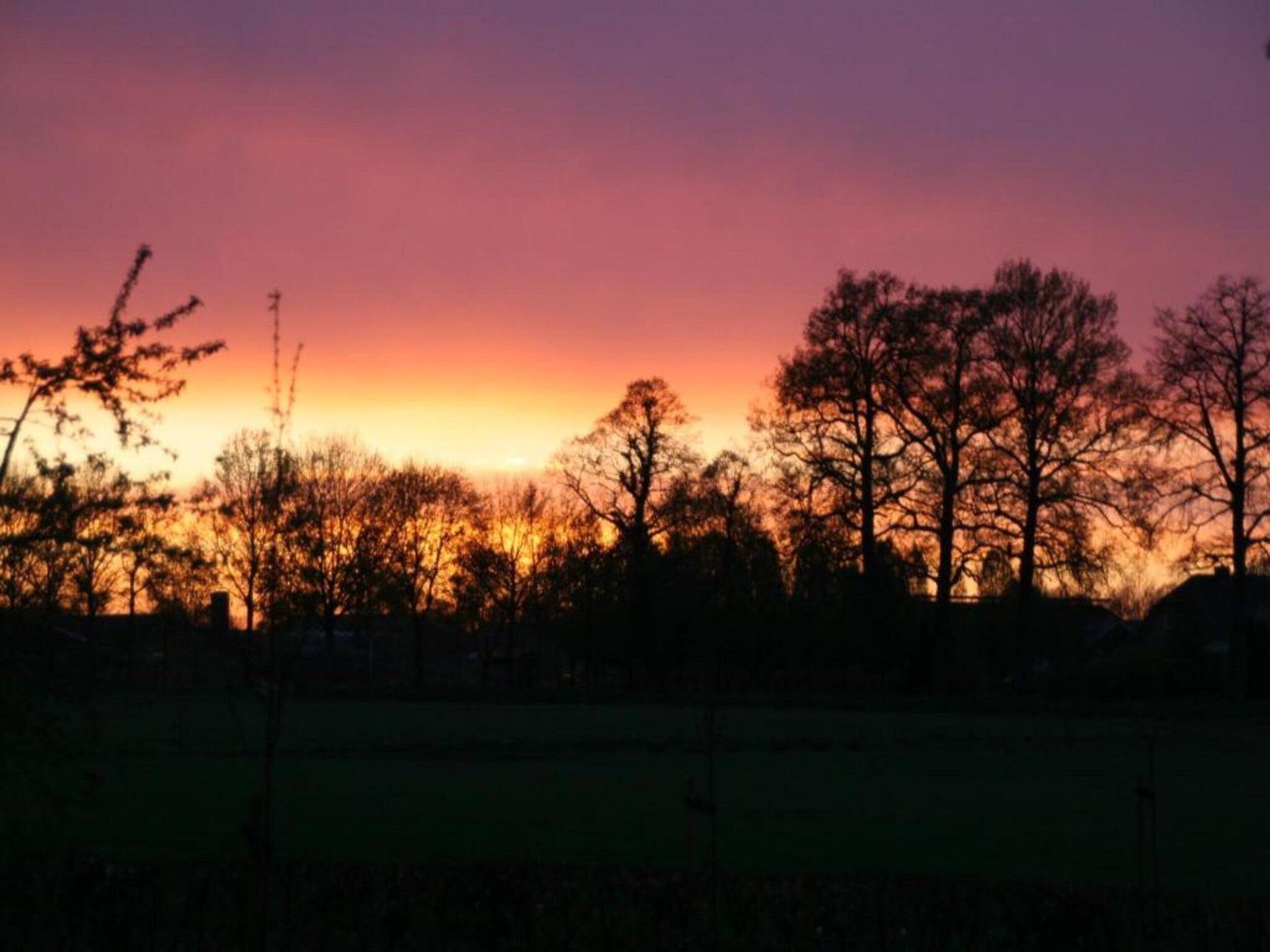 Het Kruisselt in Zelhem - Foto 27 van 36