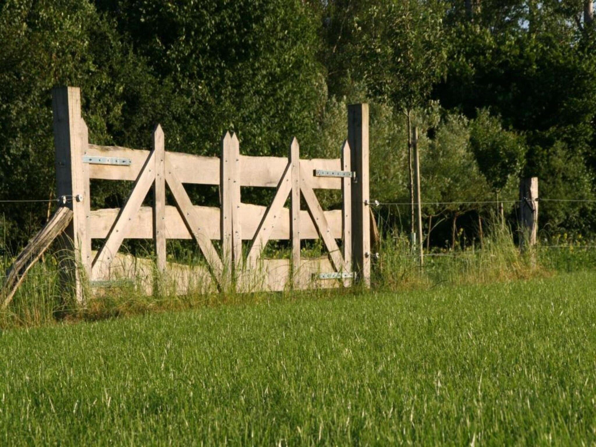 Het Kruisselt in Zelhem - Foto 26 van 36