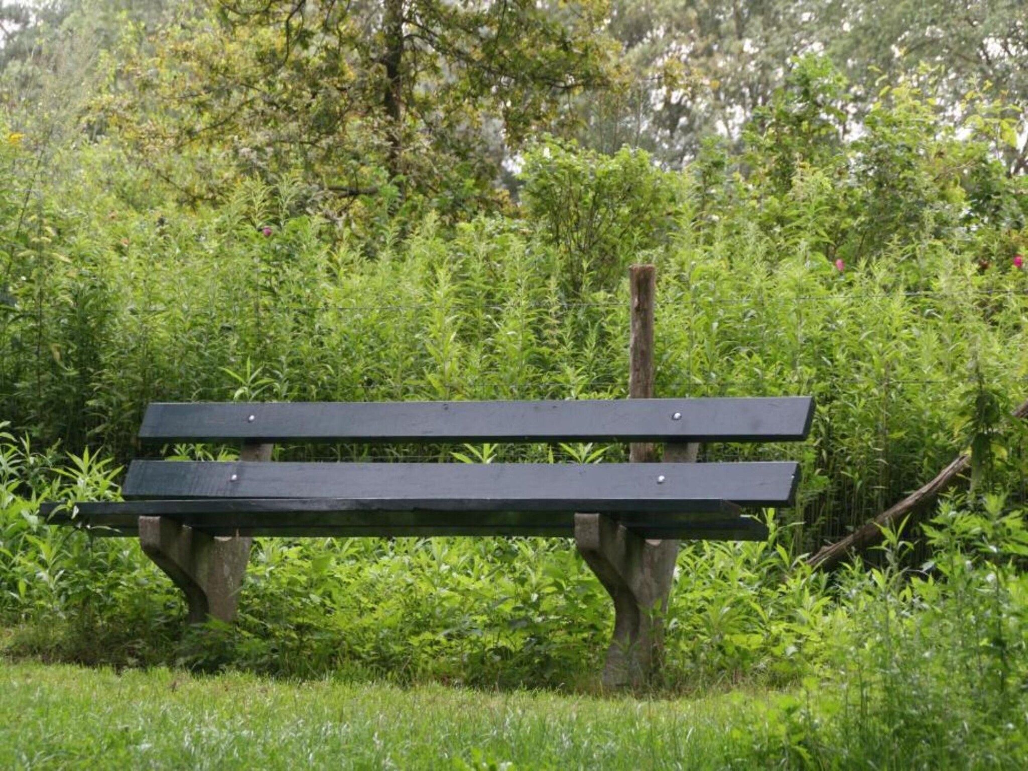 Het Kruisselt in Zelhem - Foto 29 van 36