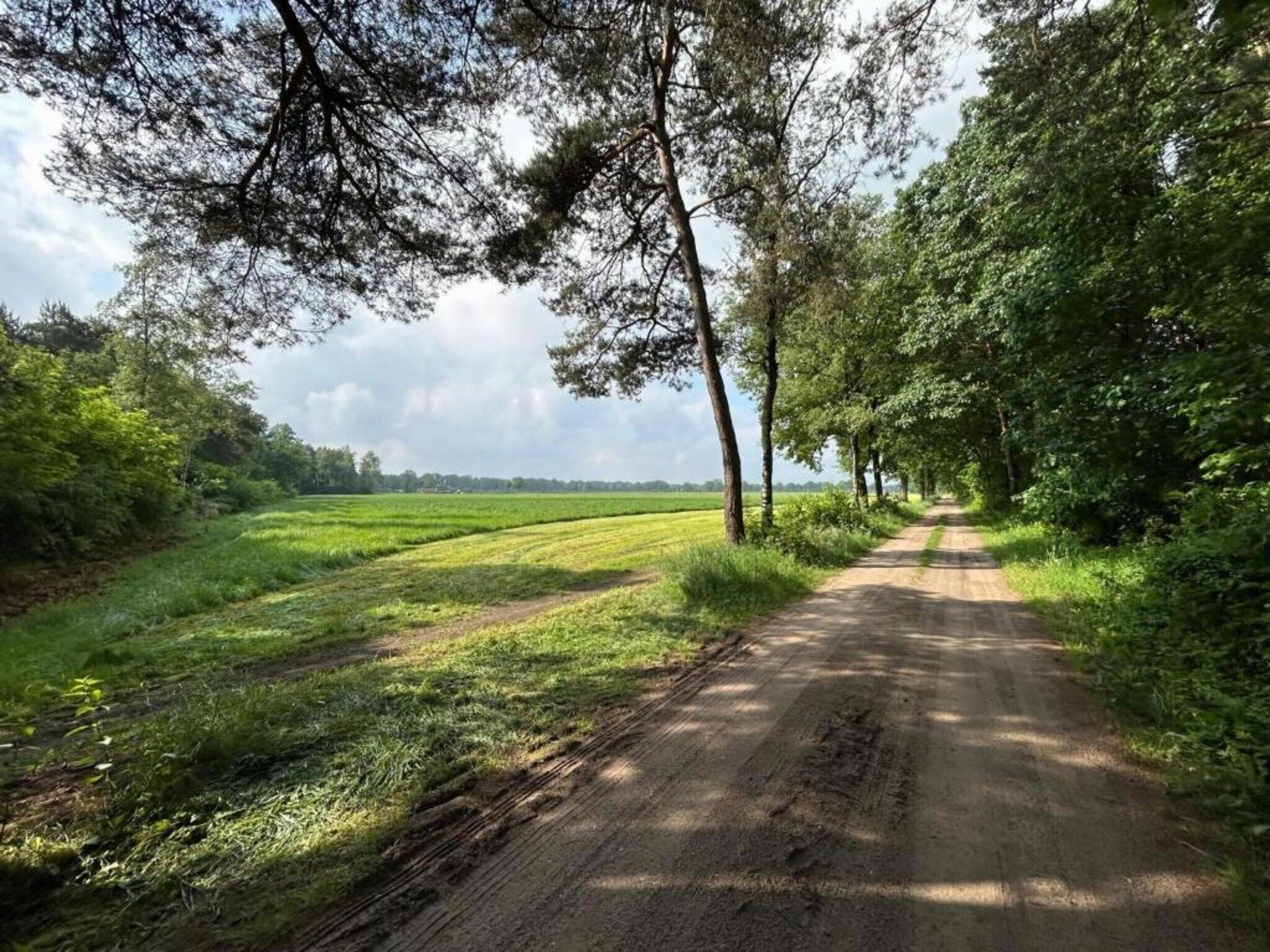 Het Kruisselt in Zelhem - Foto 25 van 36