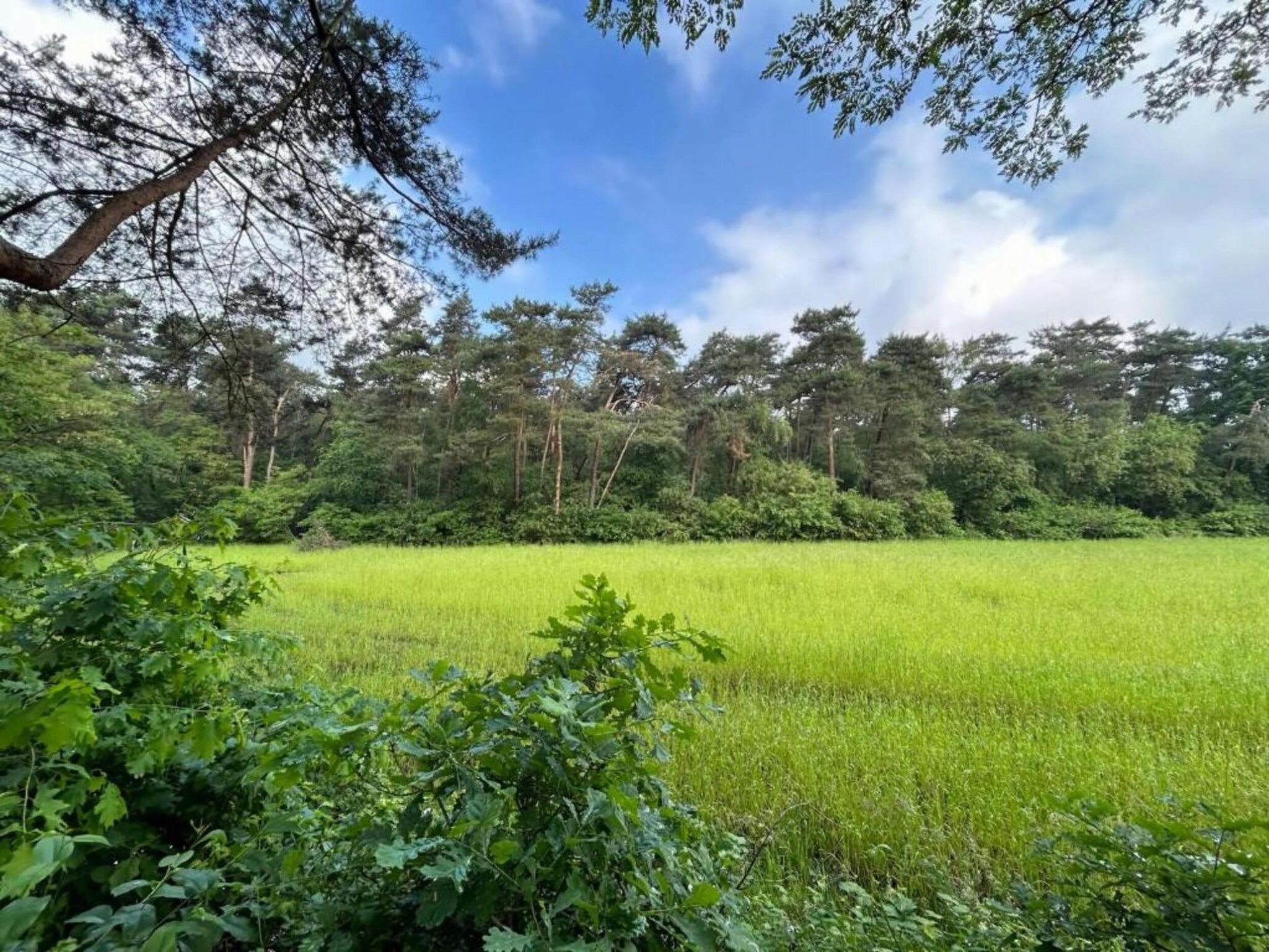 Het Kruisselt in Zelhem - Foto 31 van 36