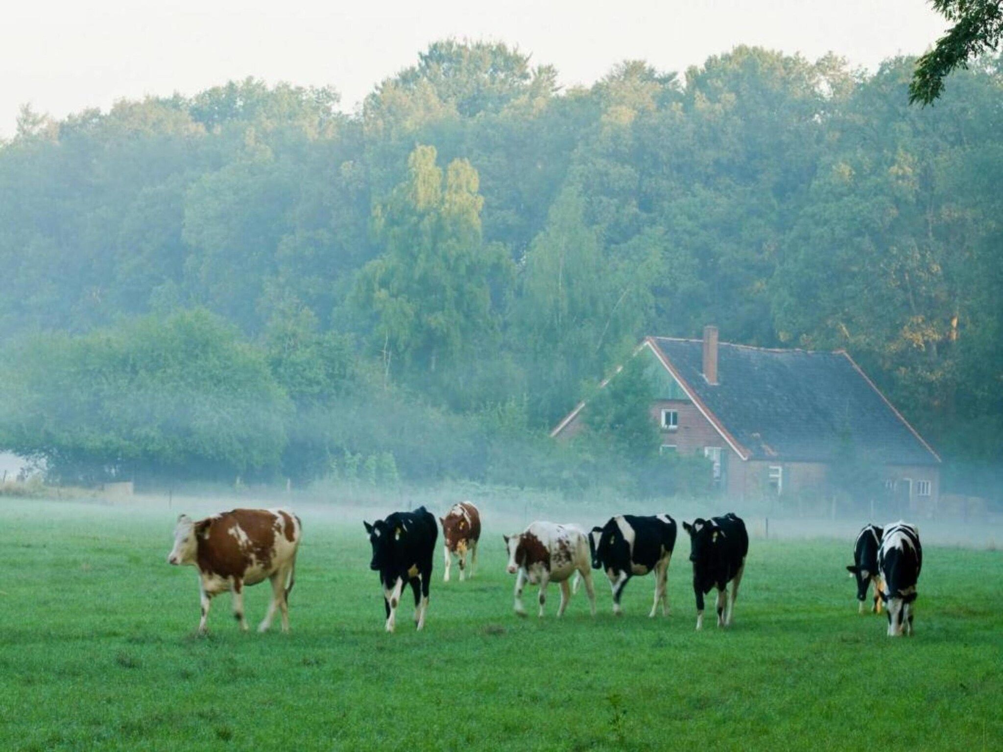 Het Kruisselt in Zelhem - Foto 30 van 36