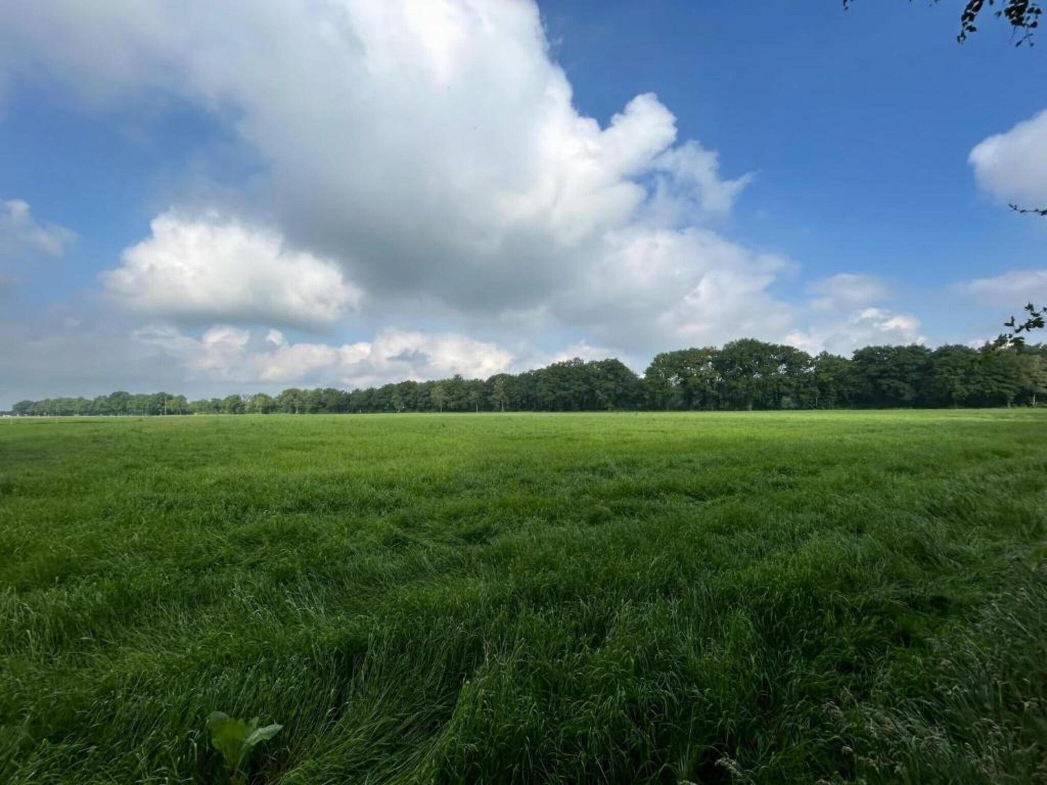 Het Kruisselt in Zelhem - Foto 33 van 36