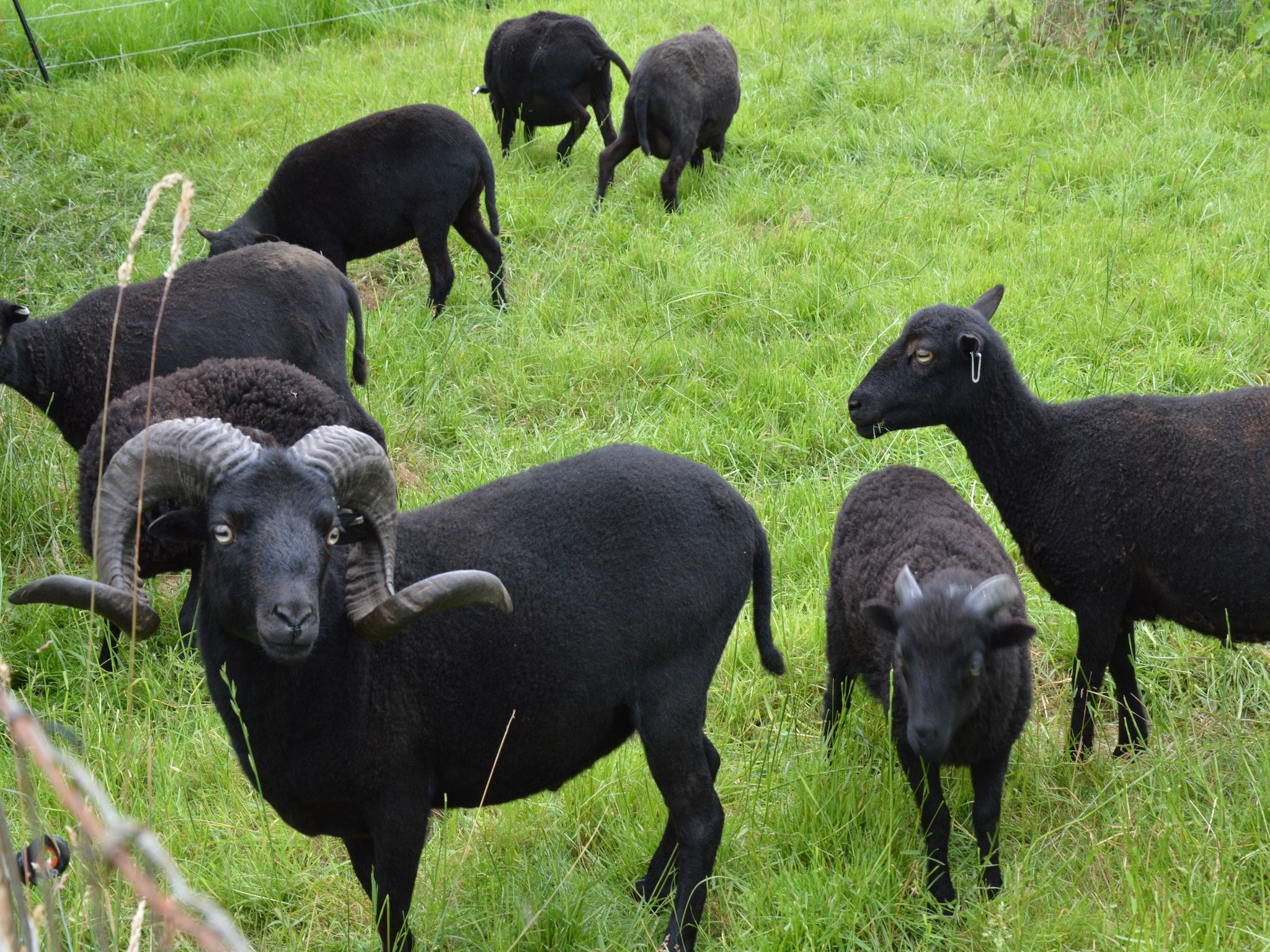 De omgeving van 't Kokhuus in Holten