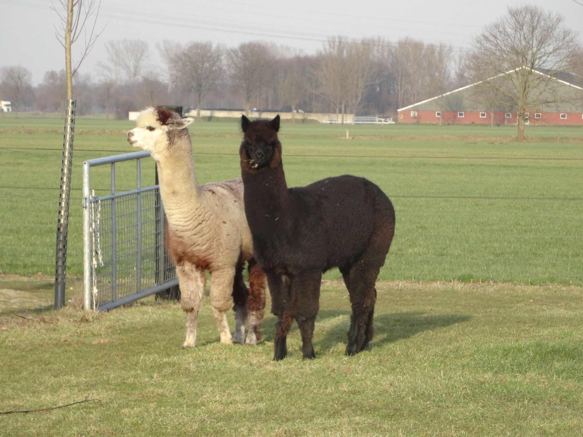 't Kokhuus in Holten - Foto 19 van 40