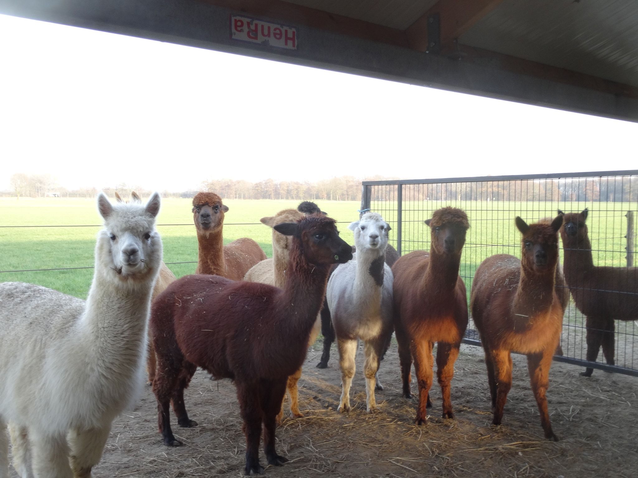 't Kokhuus in Holten - Foto 23 van 40