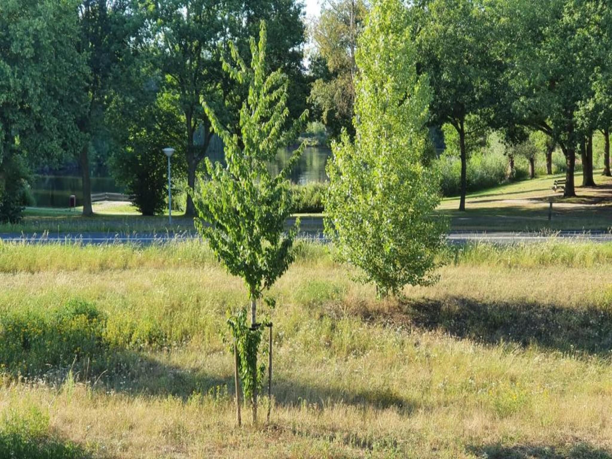 't Kokhuus in Holten - Foto 26 van 40