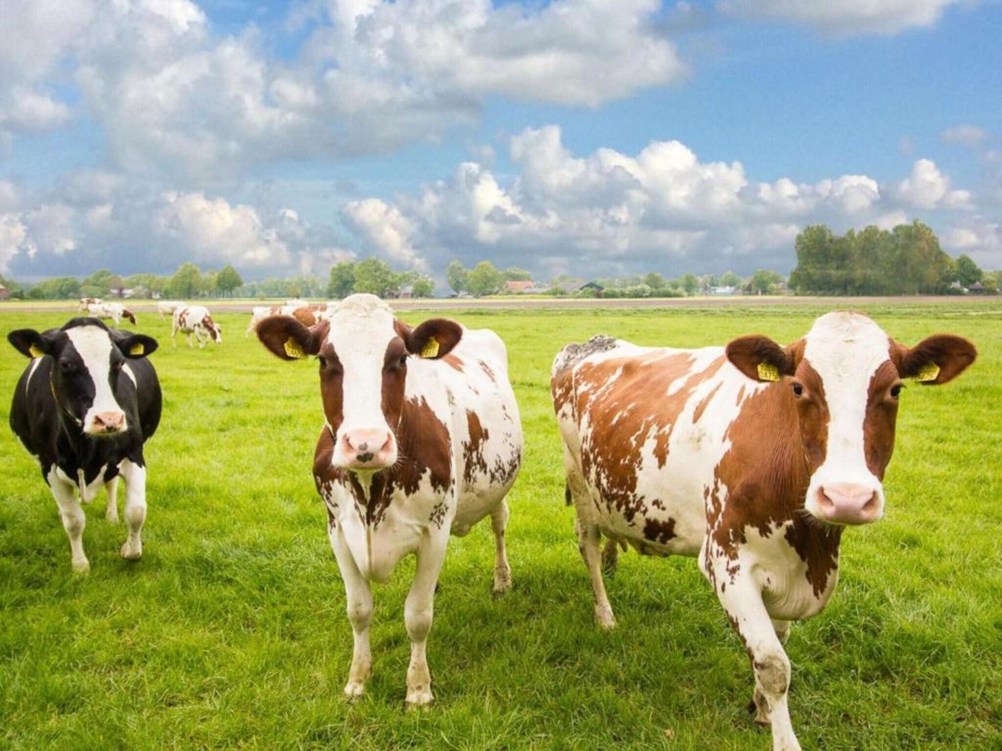 't Kokhuus in Holten - Foto 31 van 40