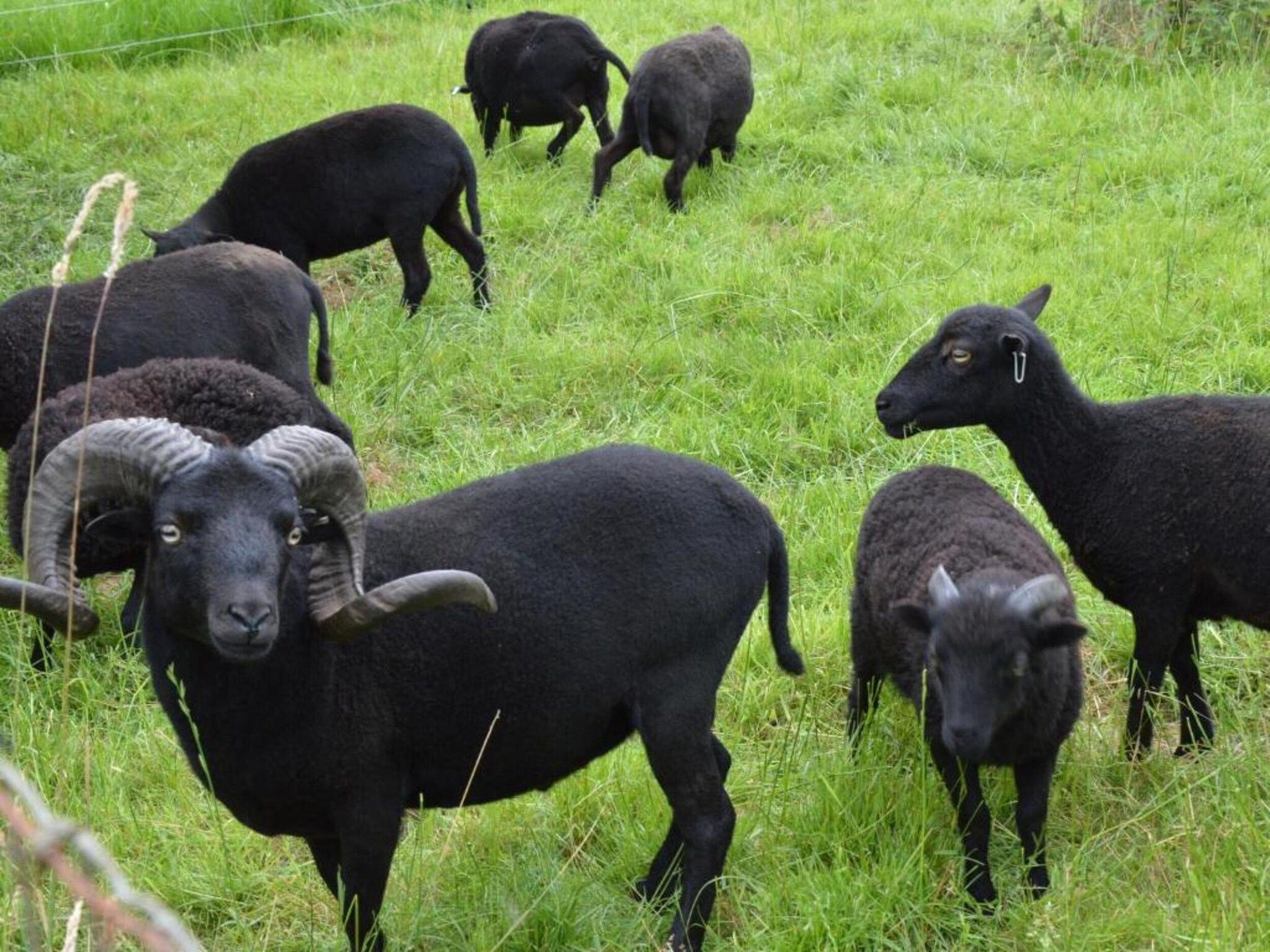 't Kokhuus in Holten - Foto 32 van 40