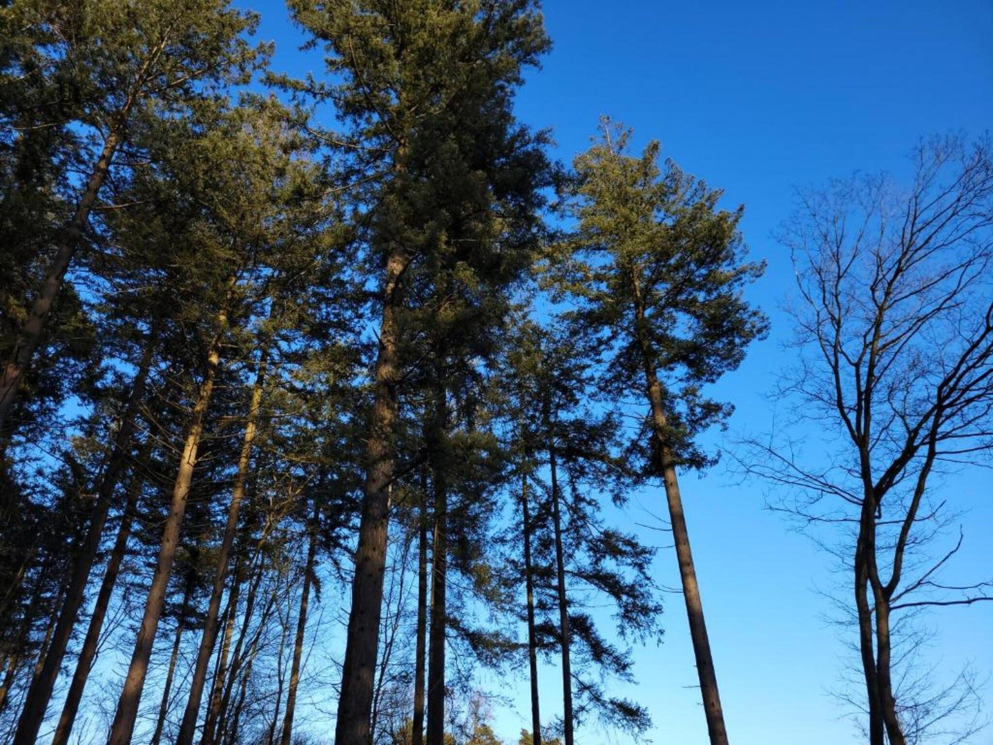 't Kokhuus in Holten - Foto 37 van 40